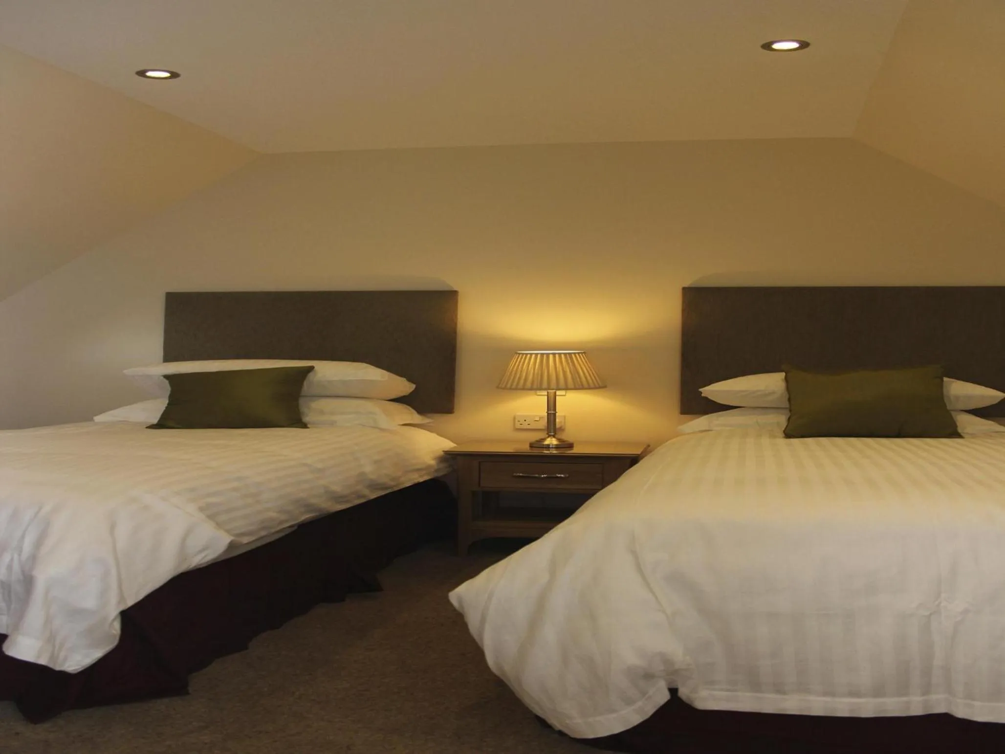 Bed in The Inn @ Y-Not