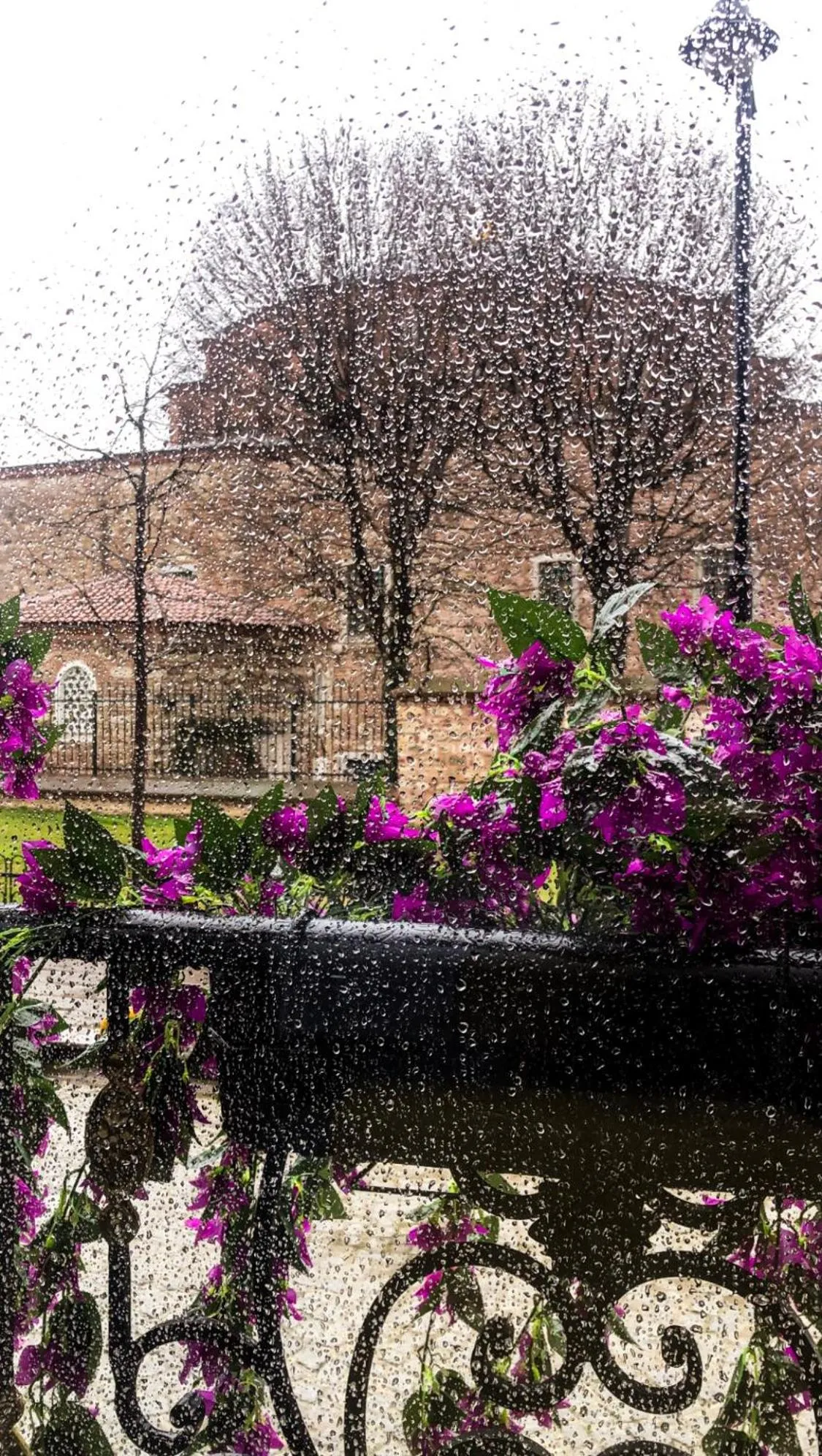 Spring in Little sofia hotel