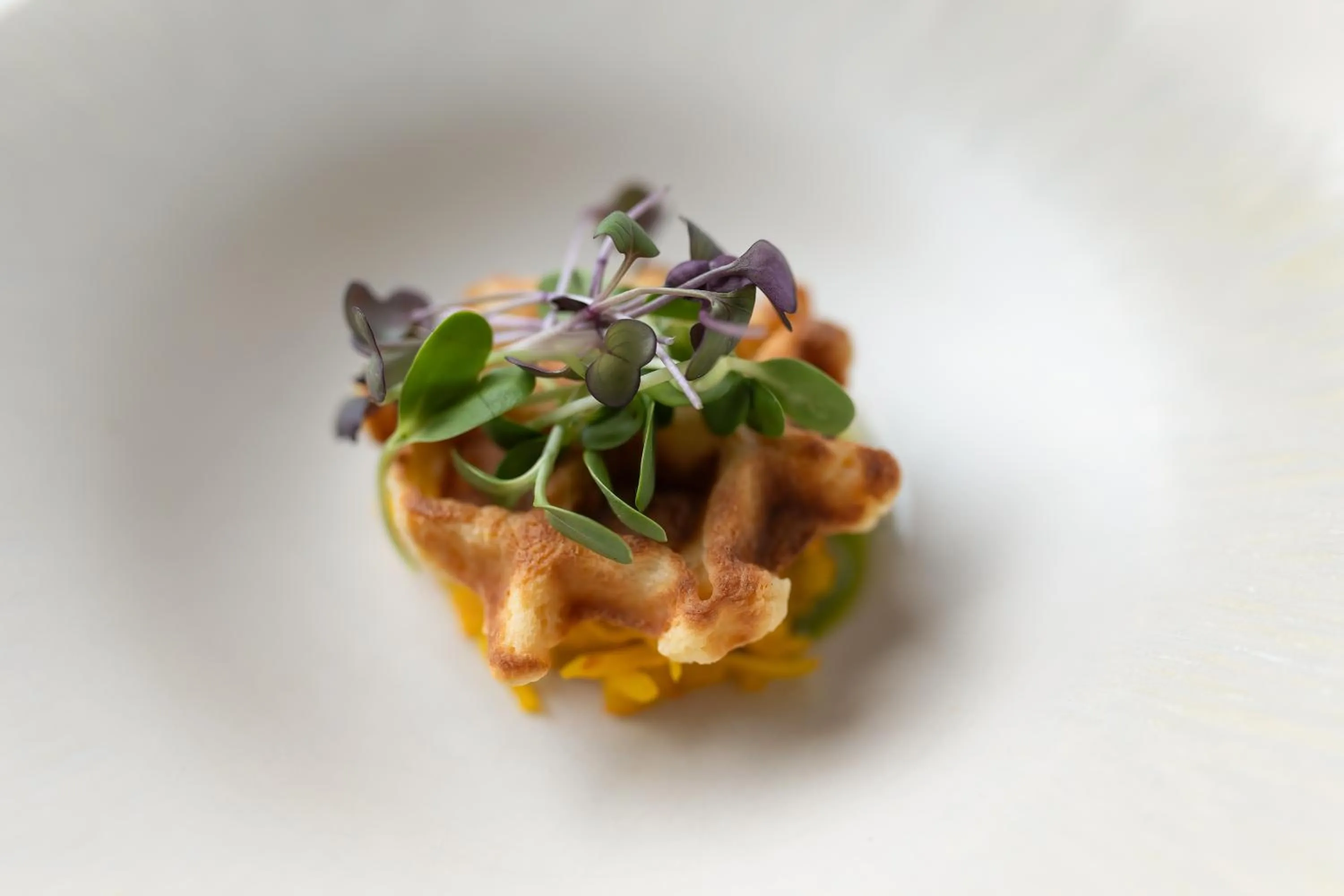 Restaurant/places to eat in Cityhotel Wood