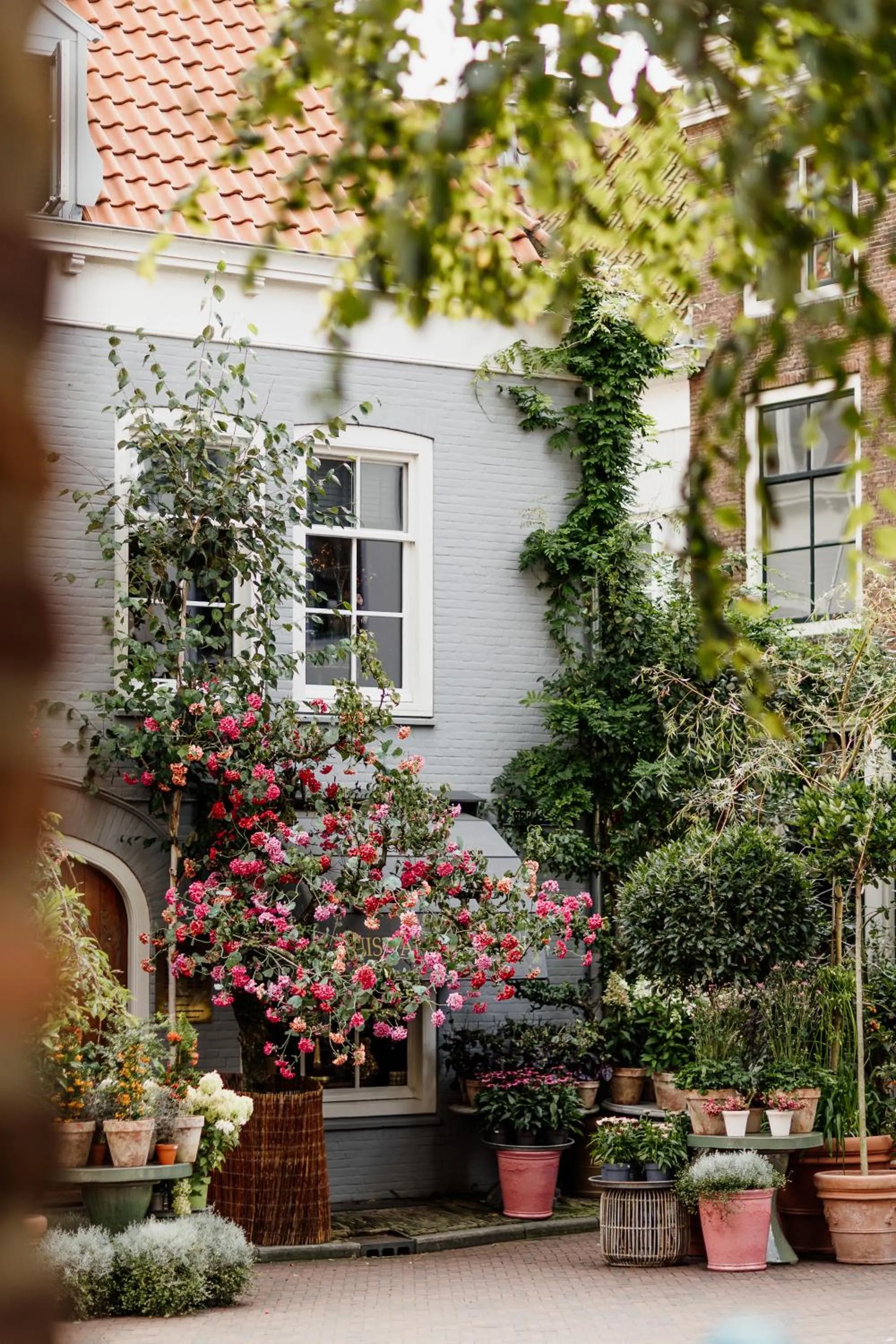 Area and facilities in Cityhotel Wood