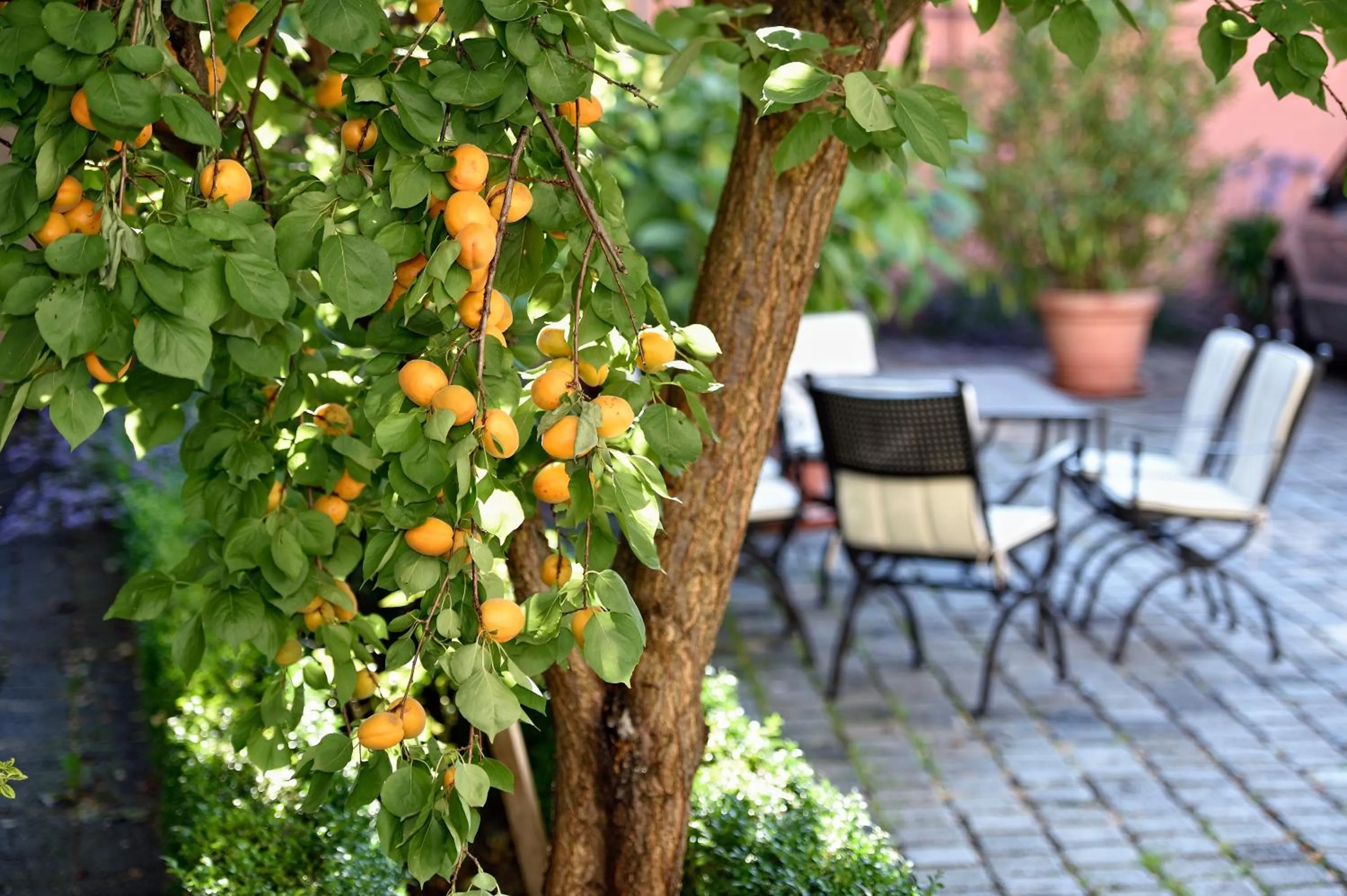 Other in Hotel Graf von Mansfeld