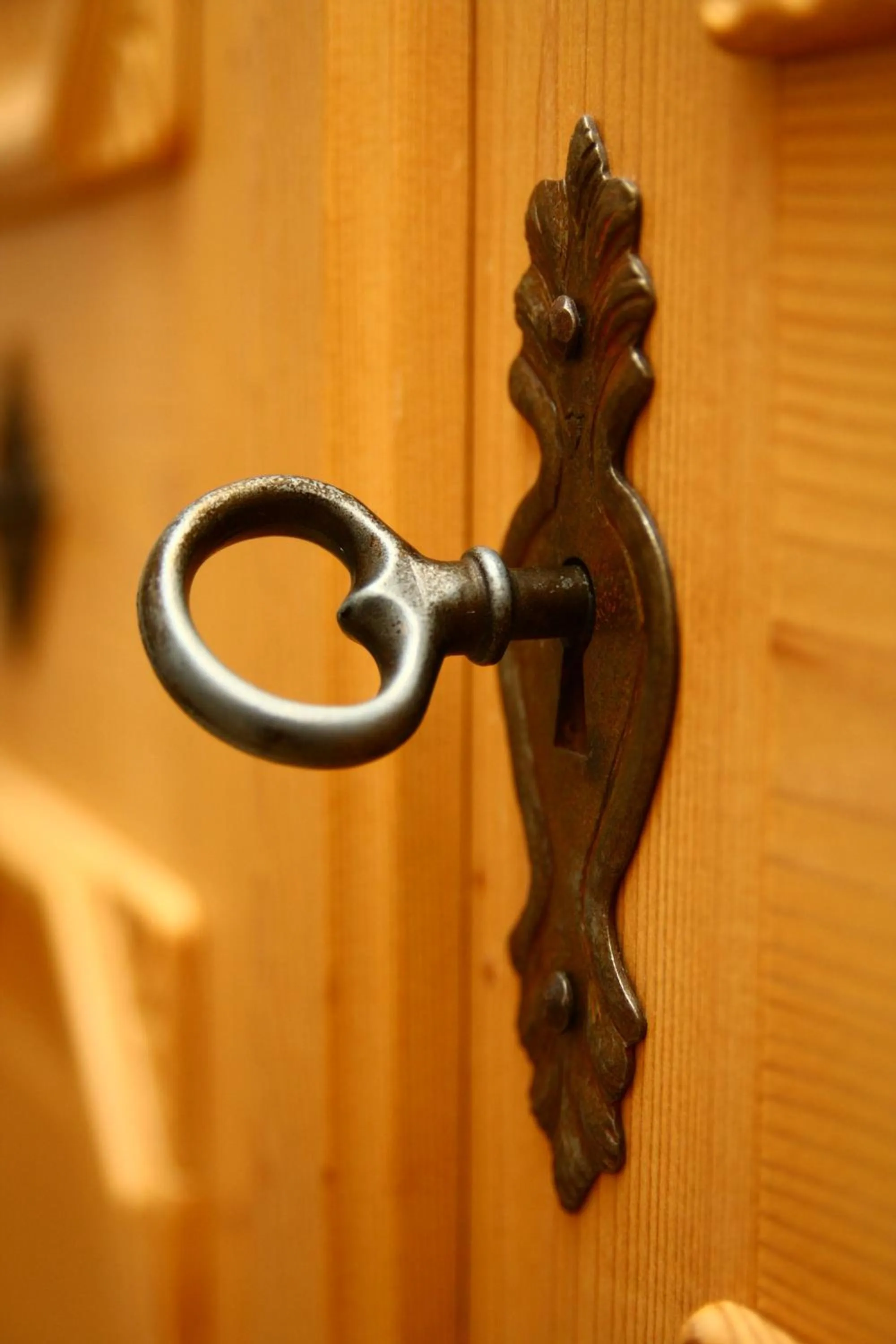 Other in Hotel und Restaurant Köhlerhütte - Fürstenbrunn