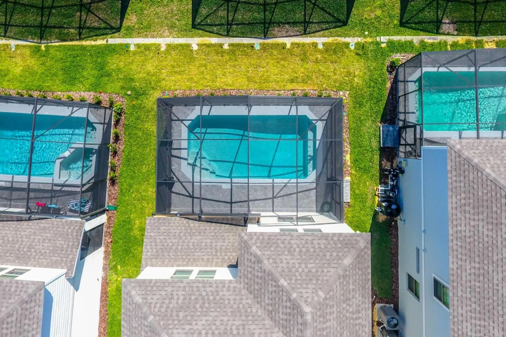 Other in Lily Garden