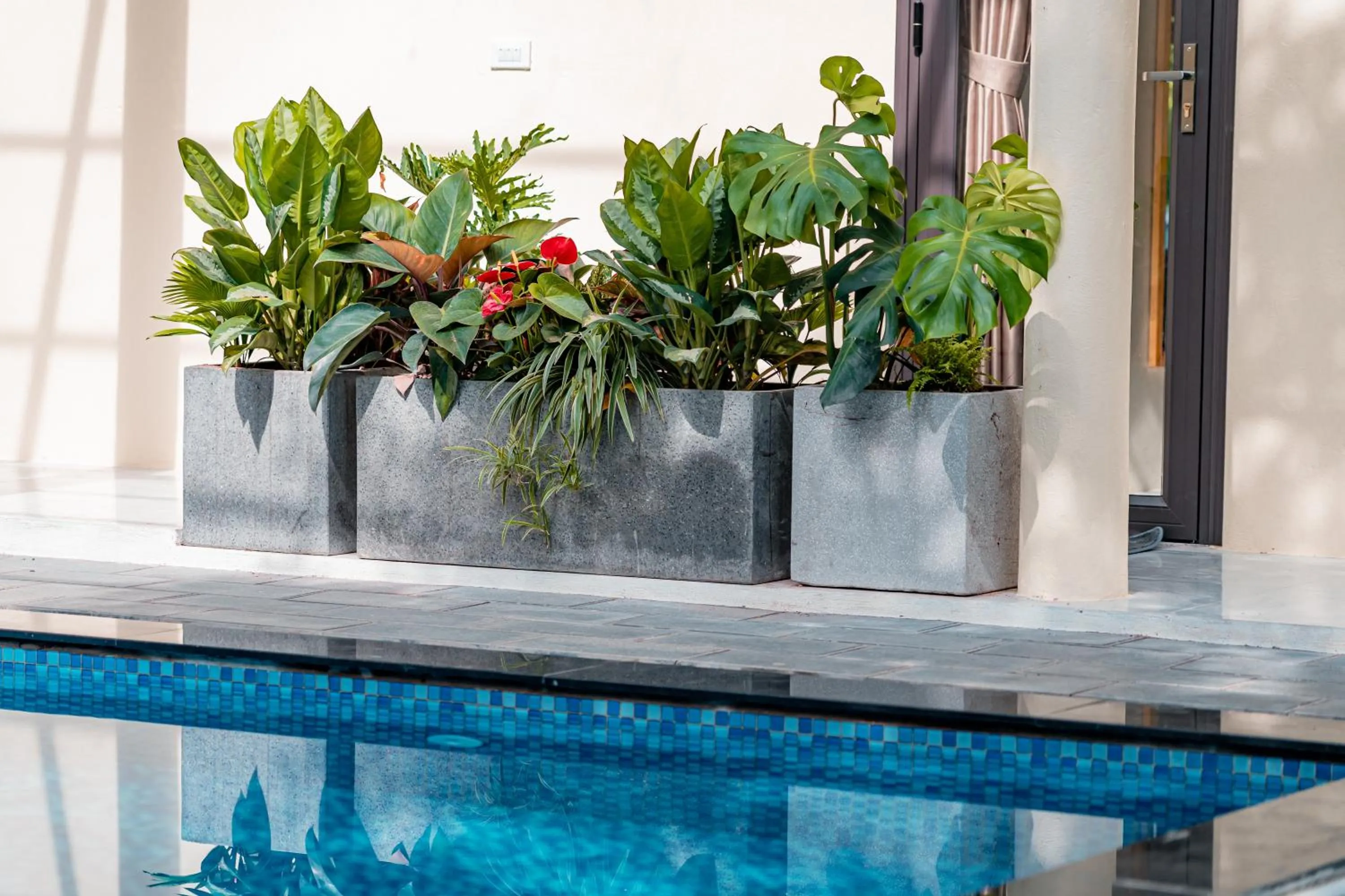 Swimming pool in Trang An Freedom Hood