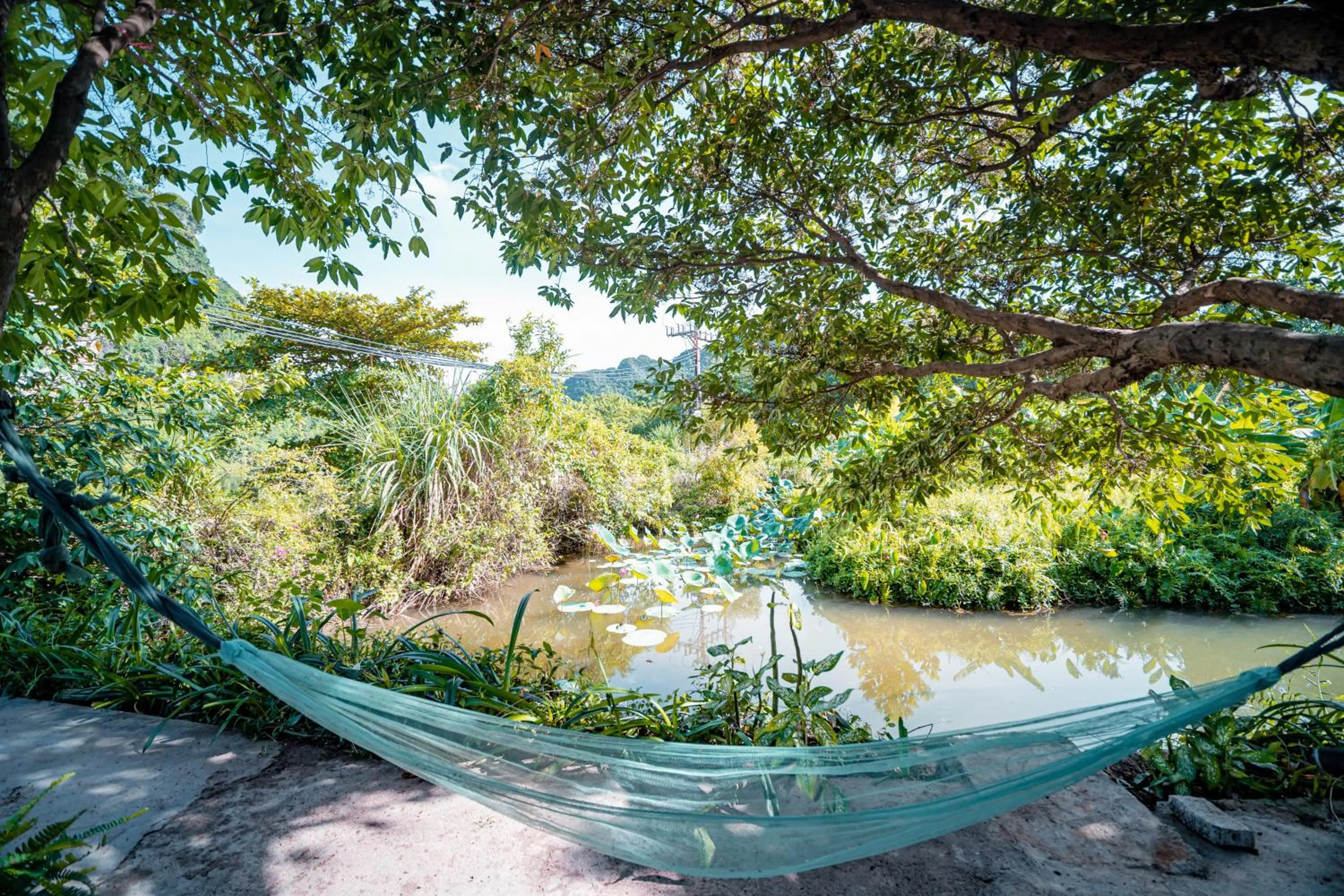 On site in Trang An Freedom Hood