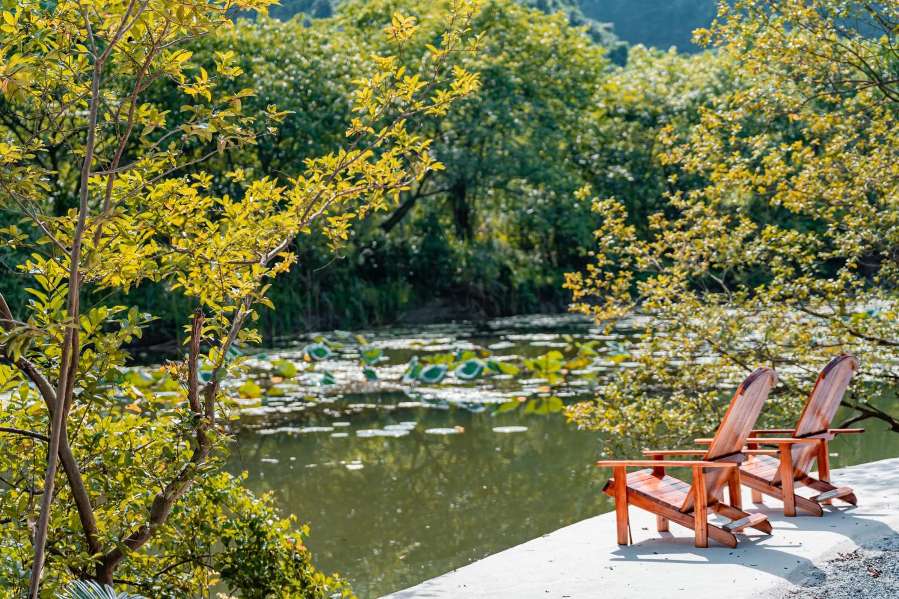 Natural landscape in Trang An Freedom Hood
