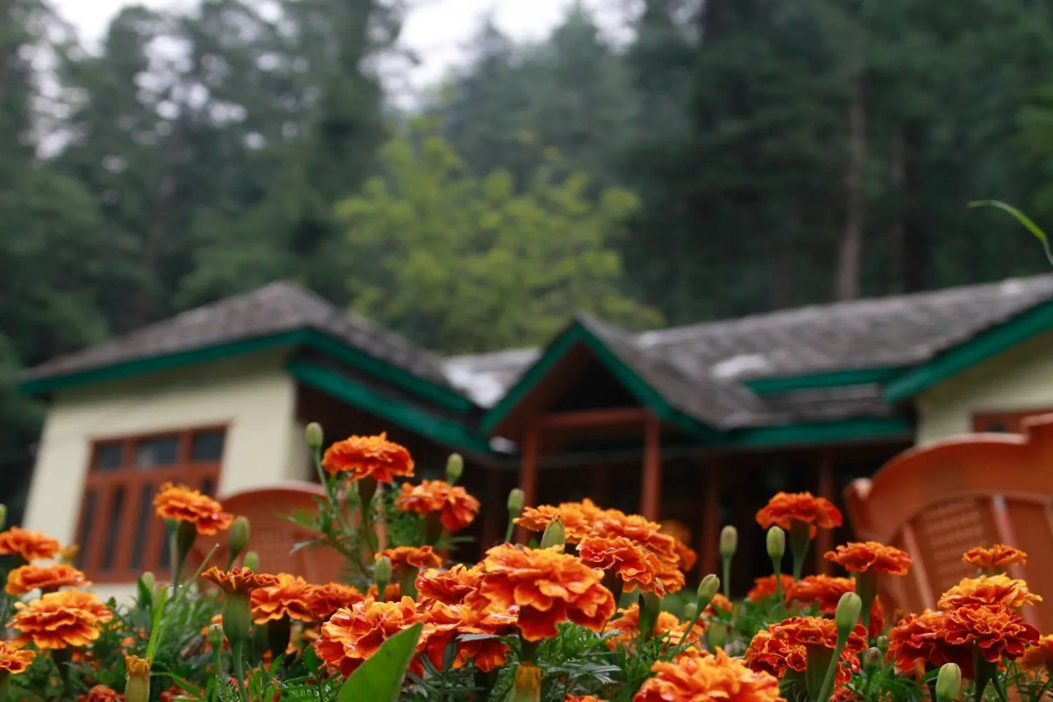 Property building in Parvati Kuteer riverside resort