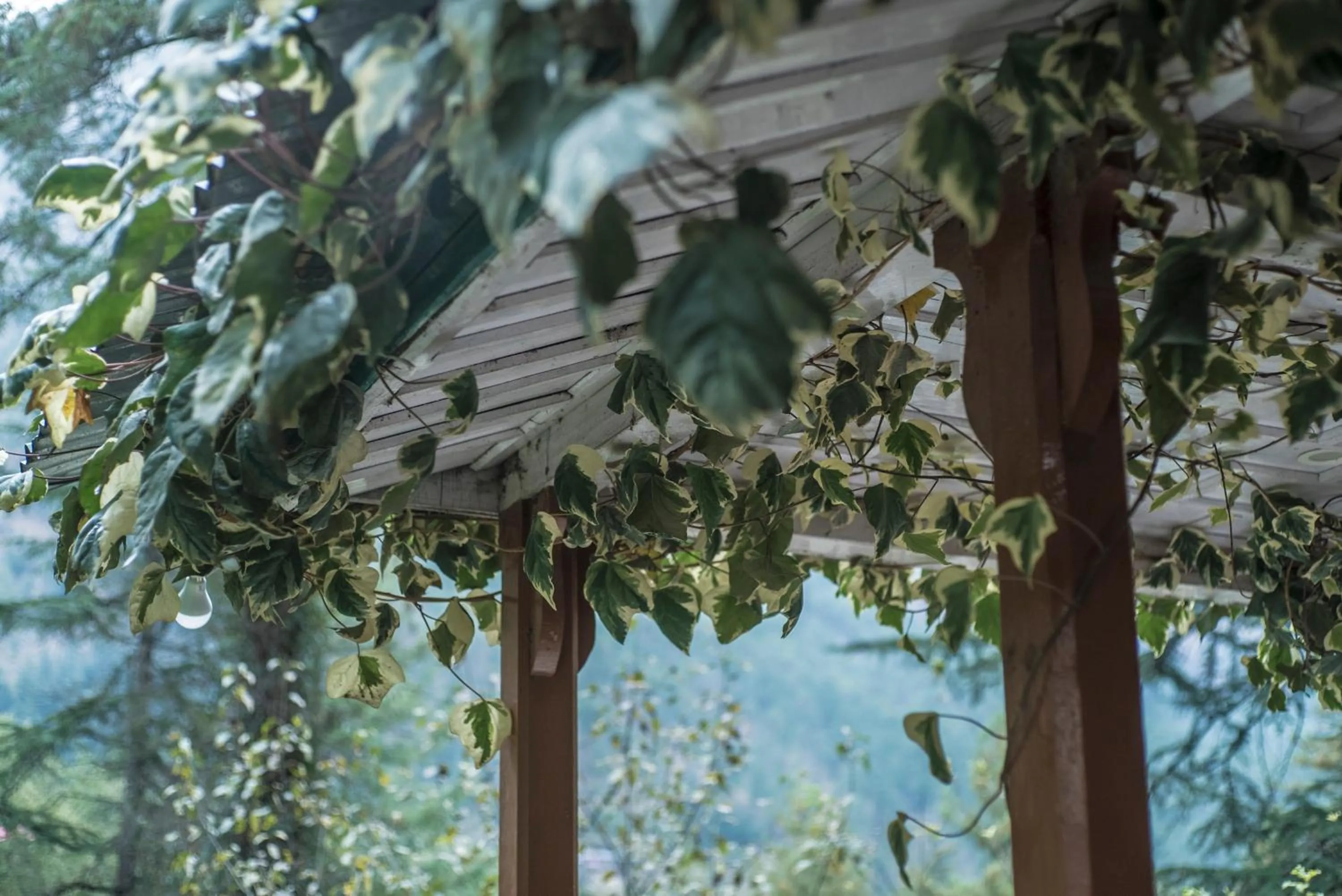Facade/entrance in Parvati Kuteer riverside resort