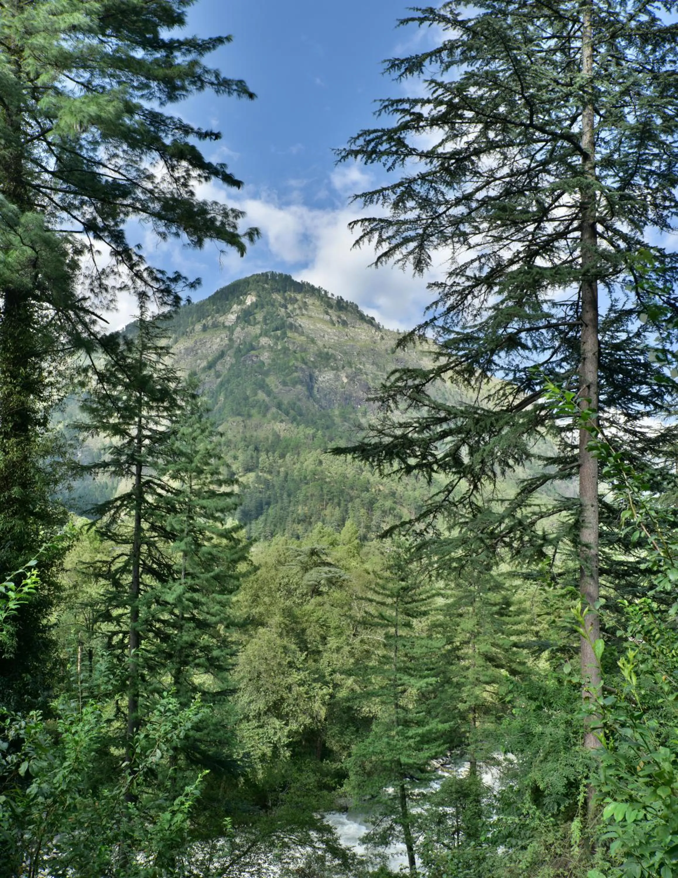 Natural landscape in Parvati Kuteer riverside resort