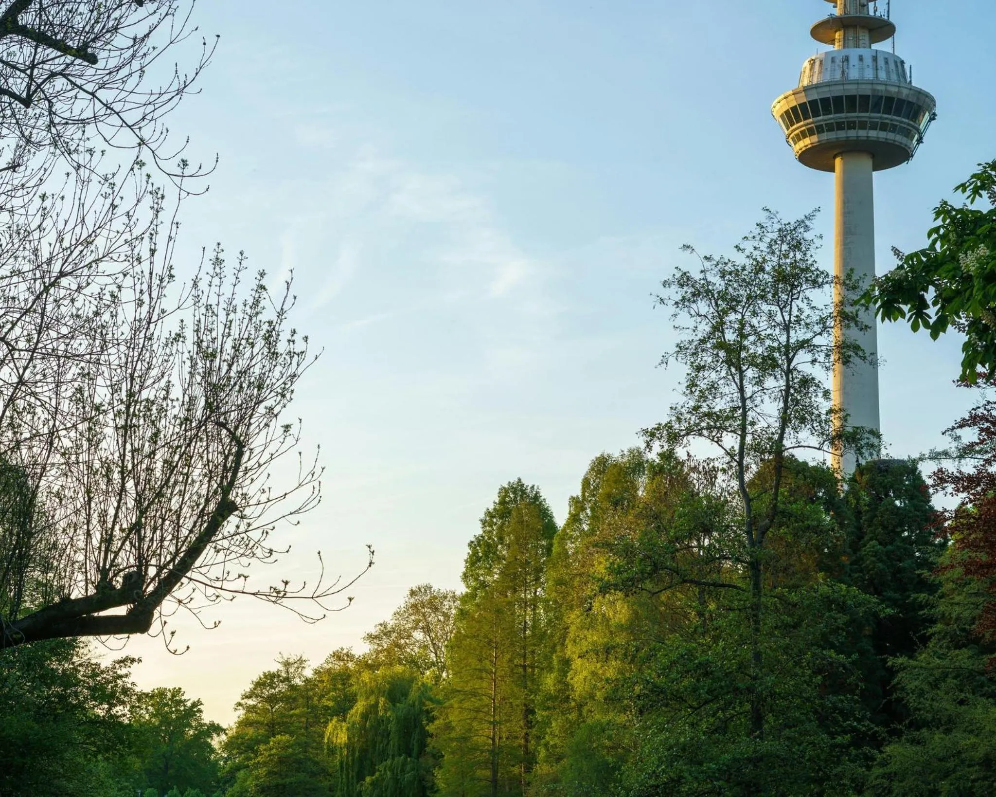 Nearby landmark in Garner Hotel Mannheim City by IHG