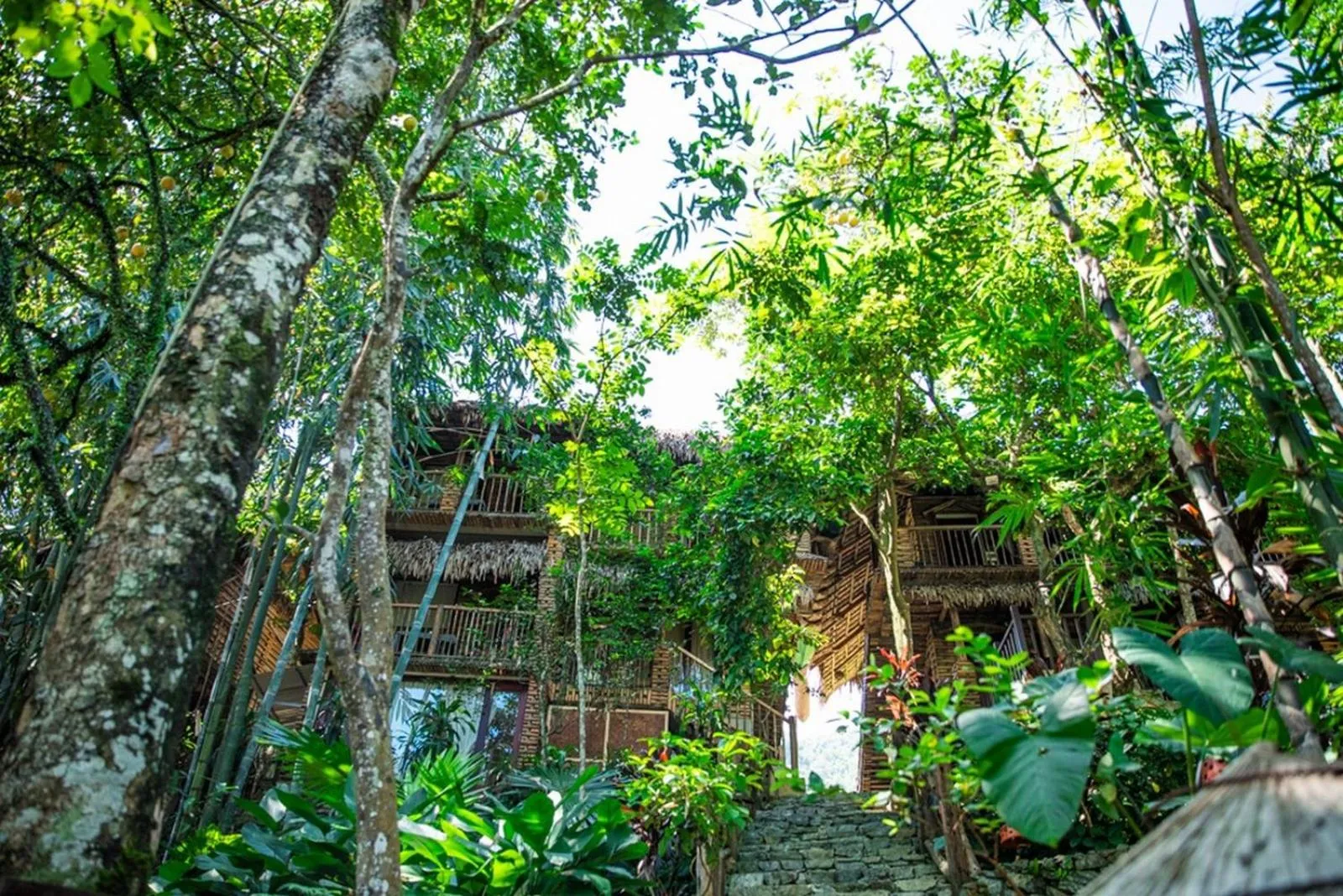 Property building in Pu Luong Jungle Lodge