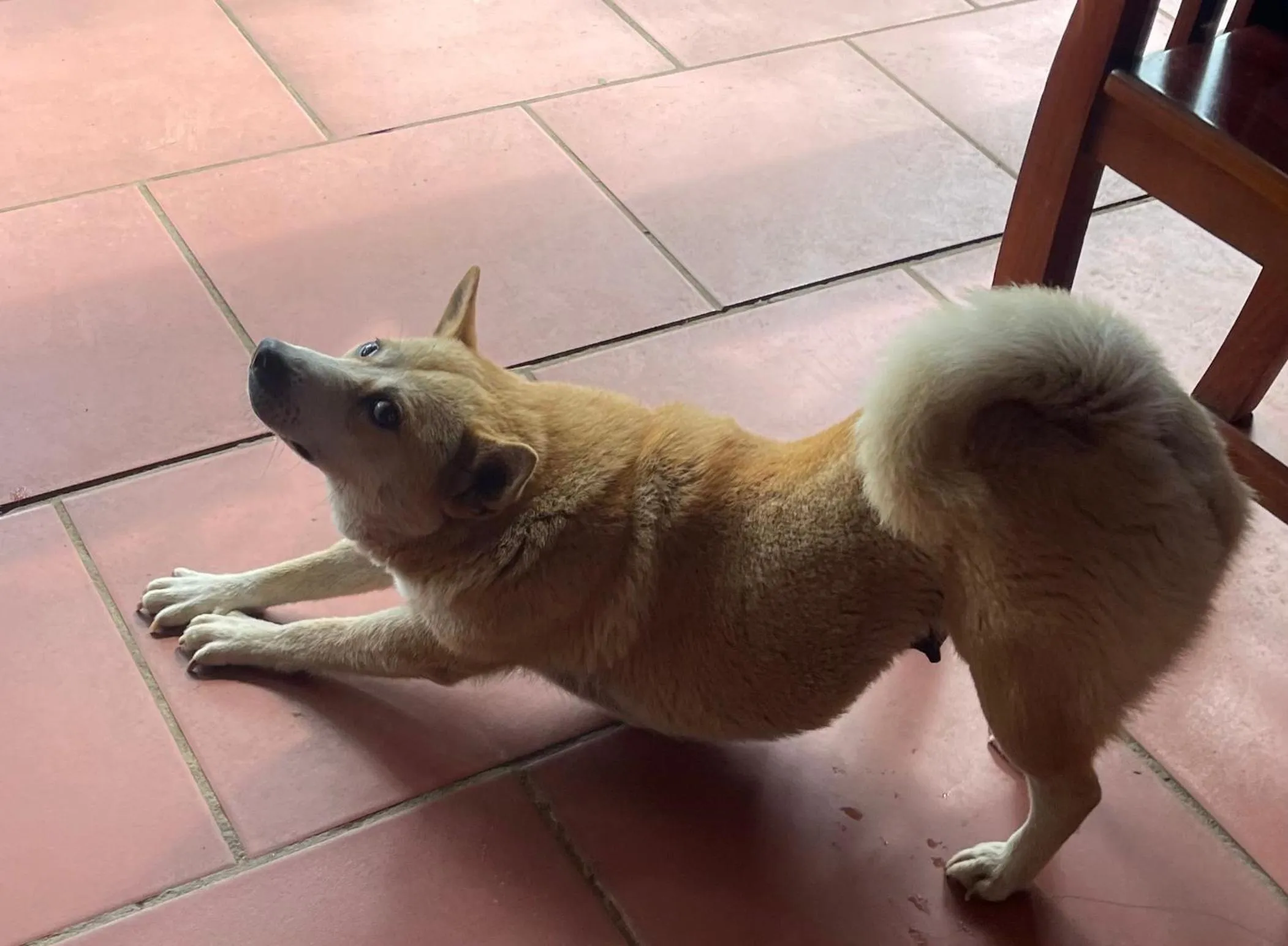 Other in Pu Luong Jungle Lodge