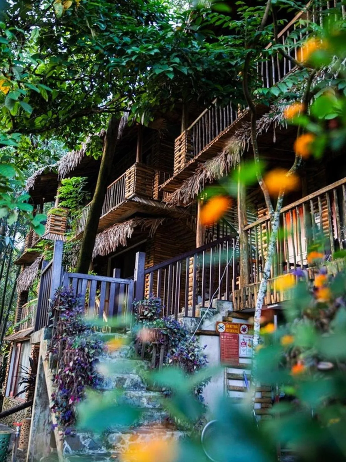 Property building in Pu Luong Jungle Lodge