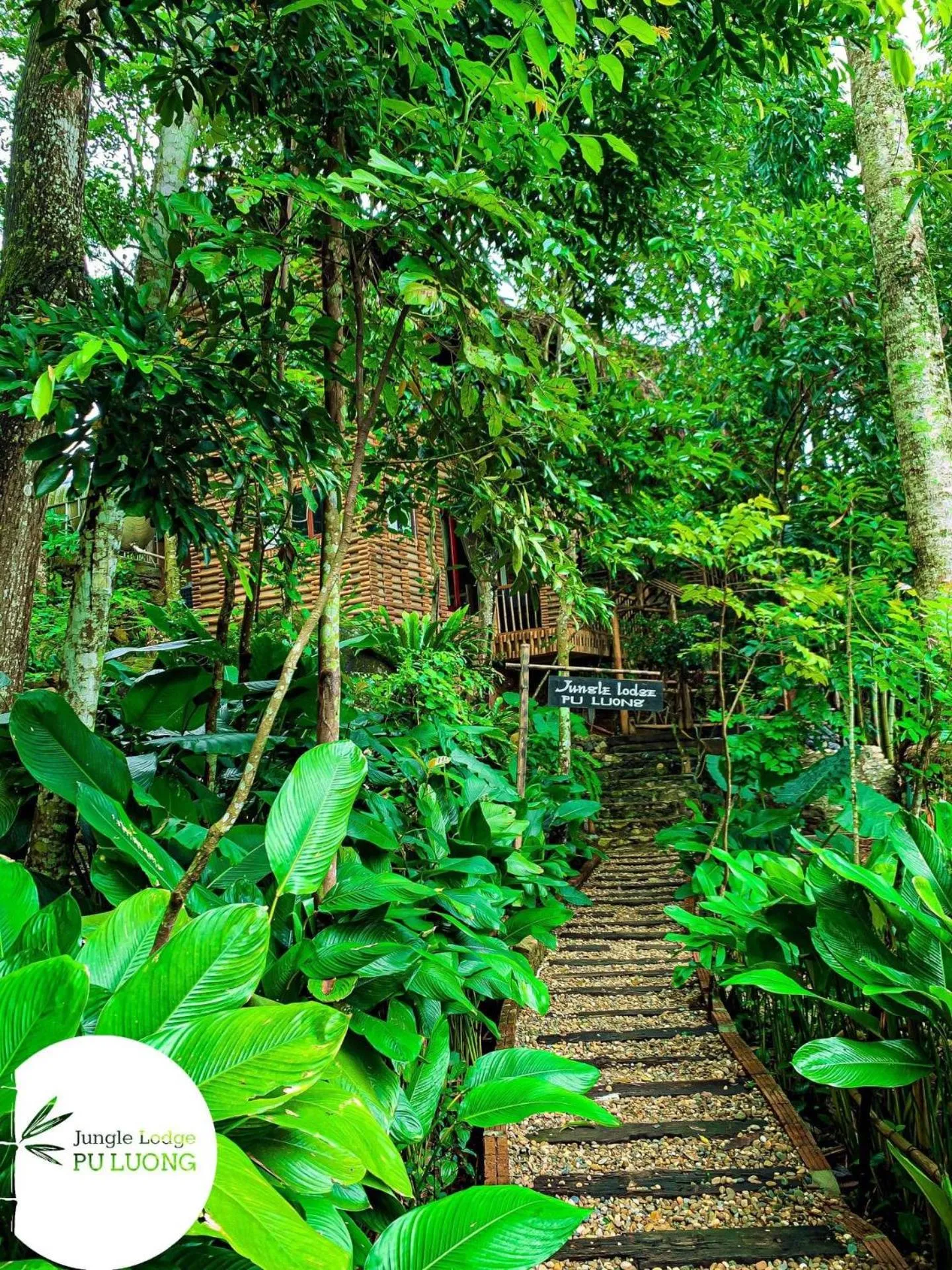 Natural landscape in Pu Luong Jungle Lodge