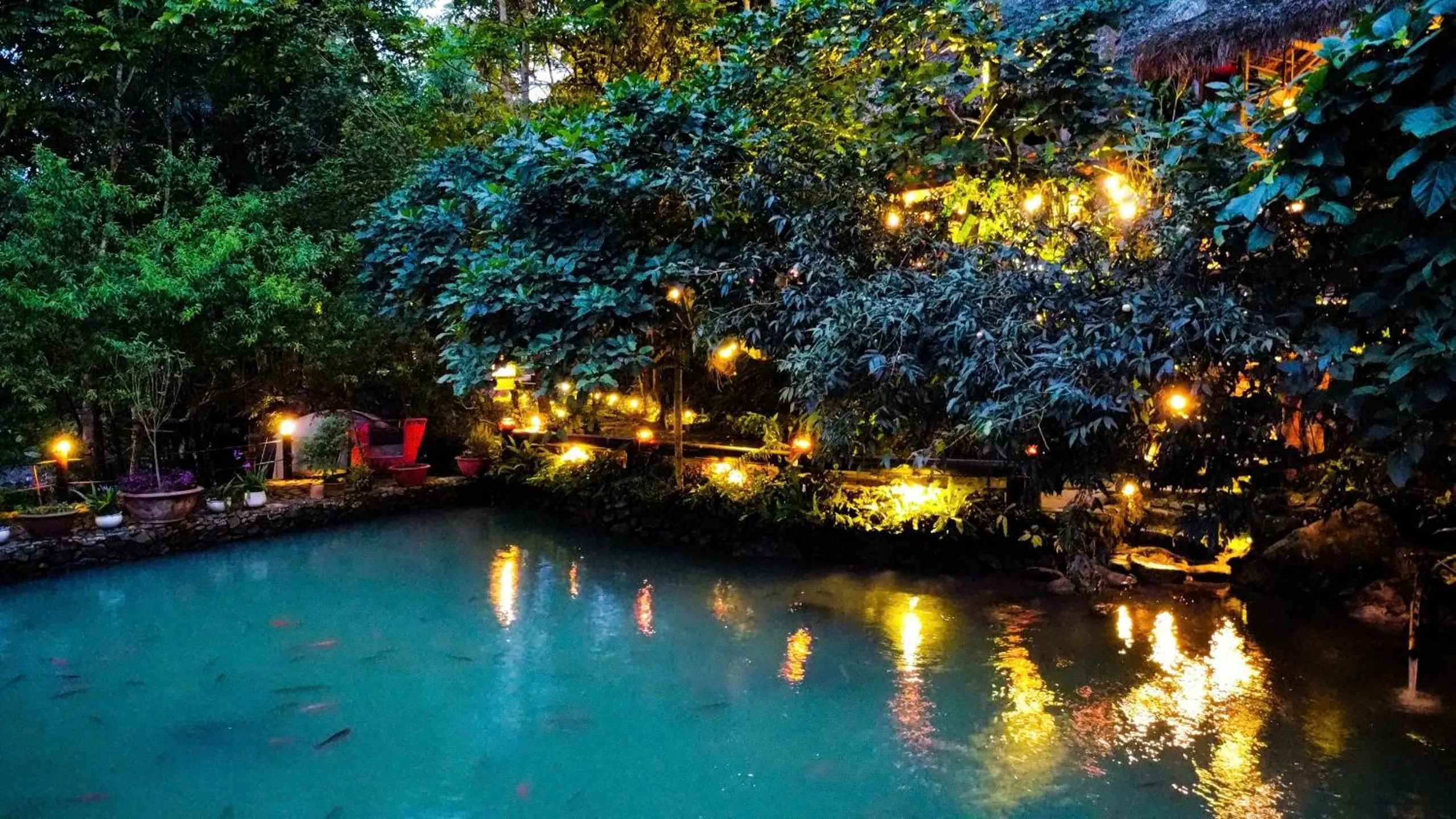 Natural landscape in Pu Luong Jungle Lodge