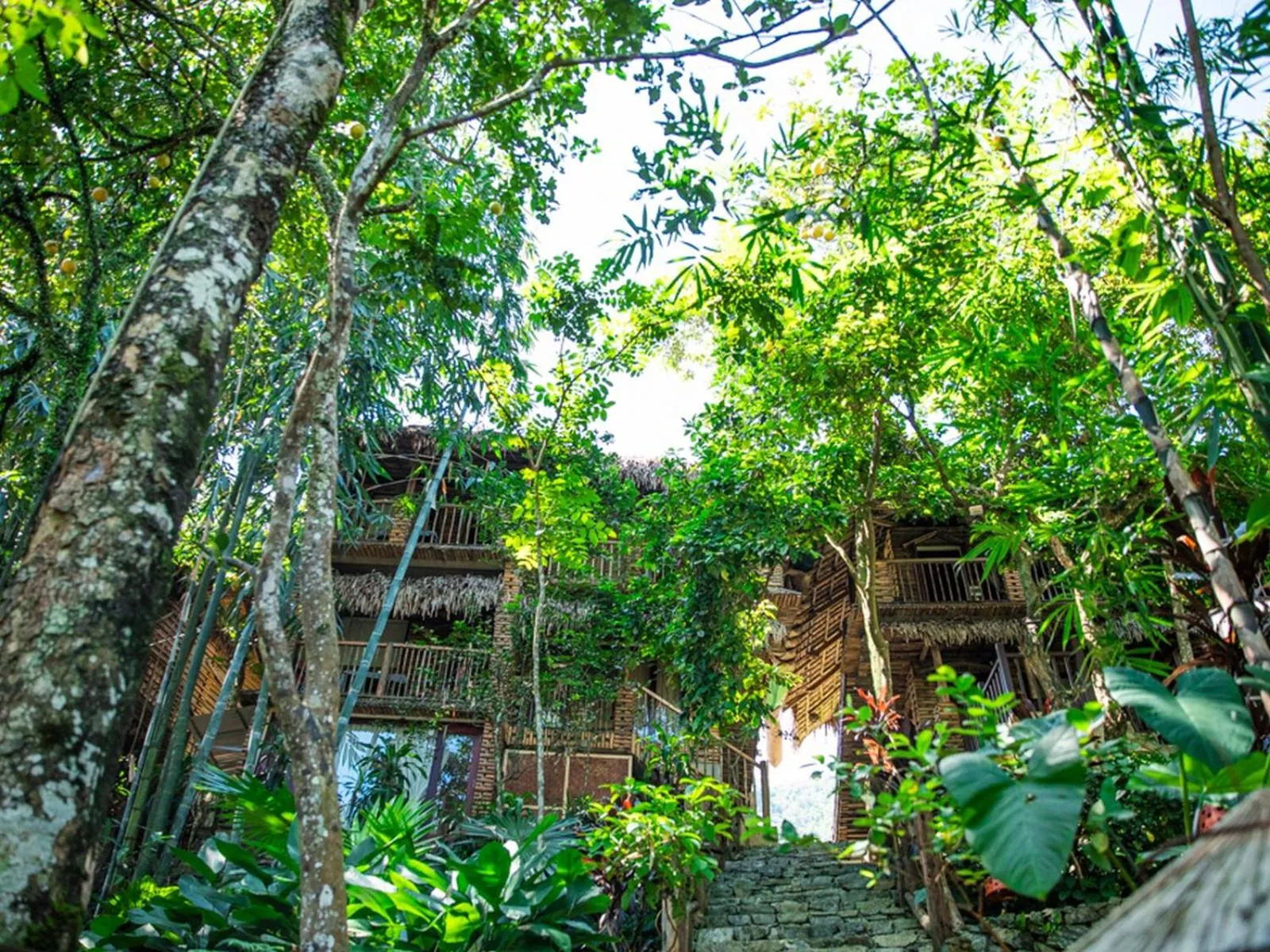 Property building in Pu Luong Jungle Lodge