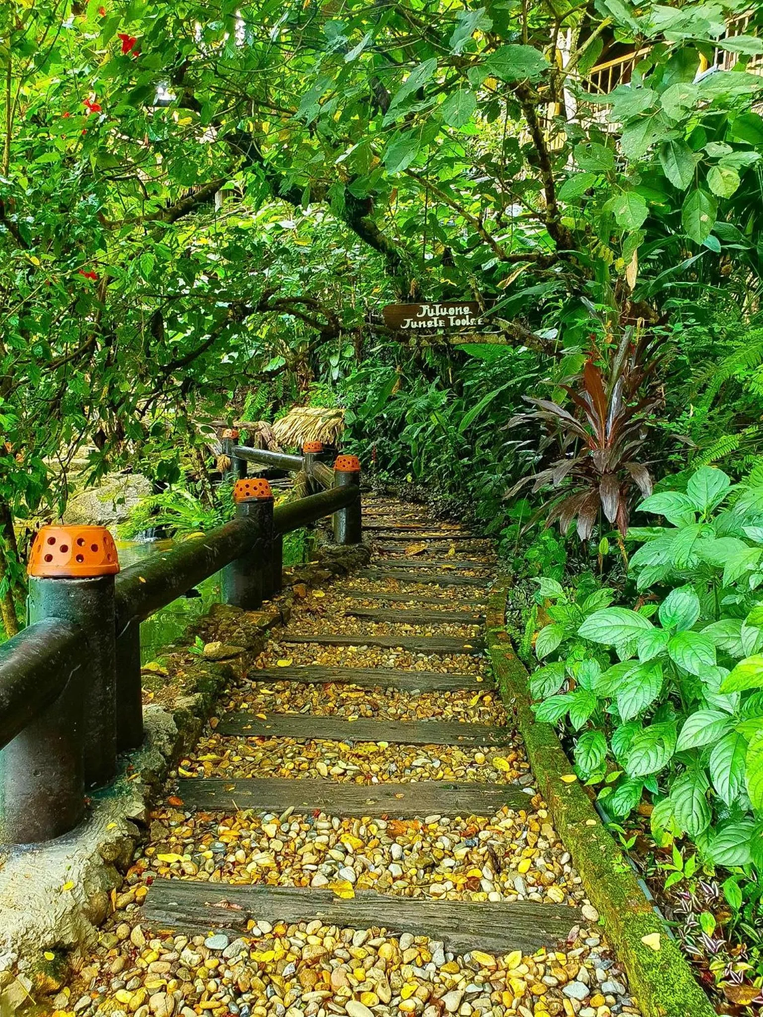 Garden in Pu Luong Jungle Lodge