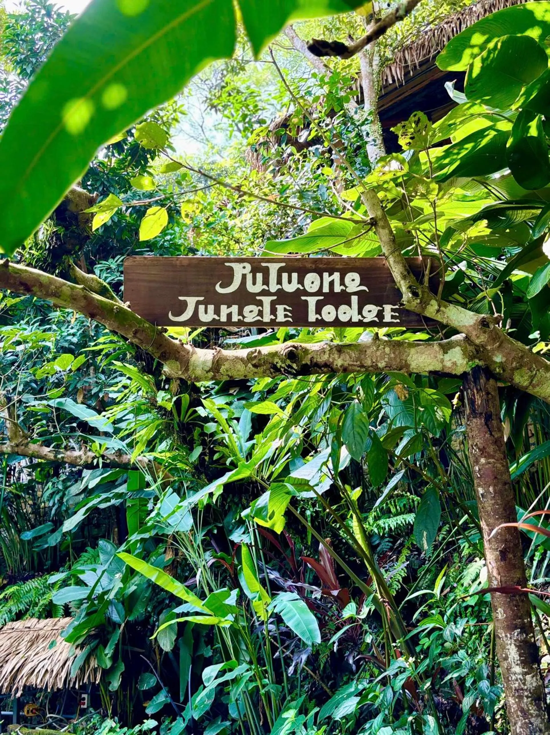 On site in Pu Luong Jungle Lodge