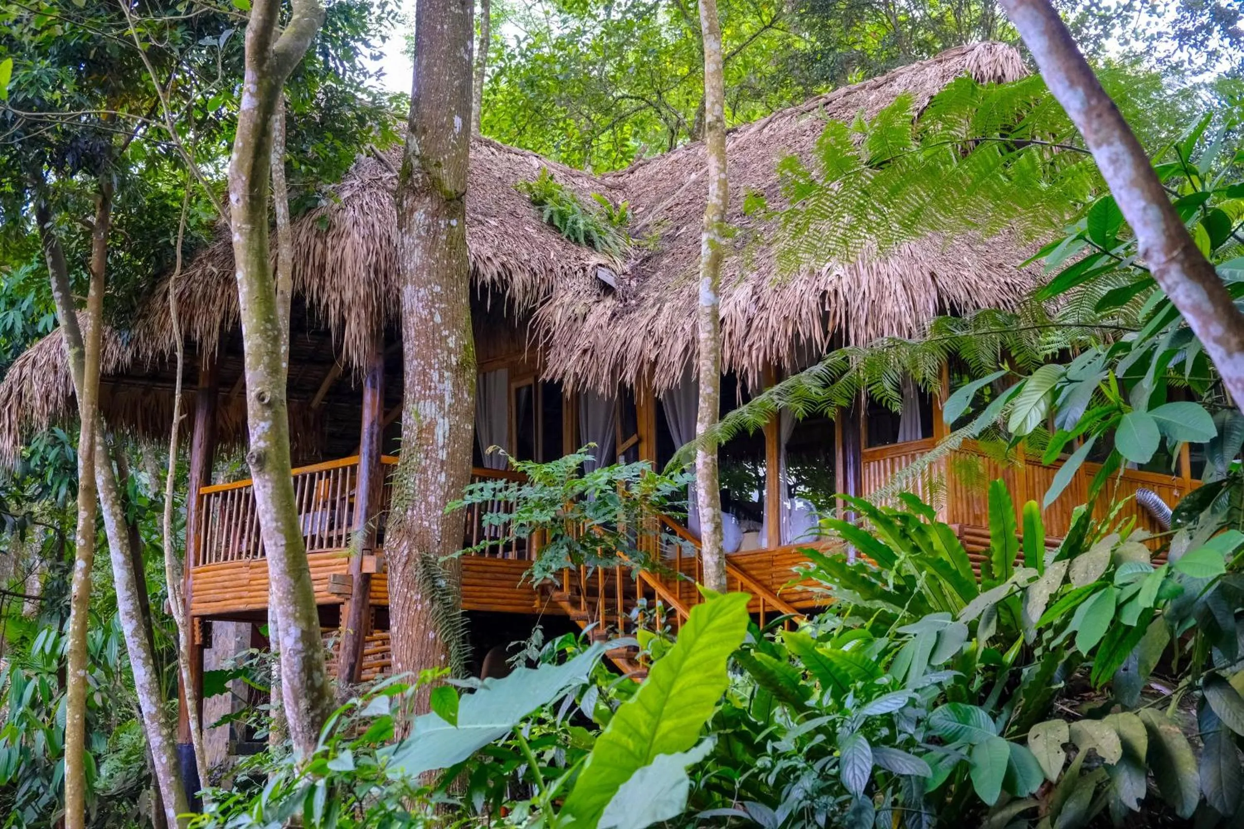 Property building in Pu Luong Jungle Lodge