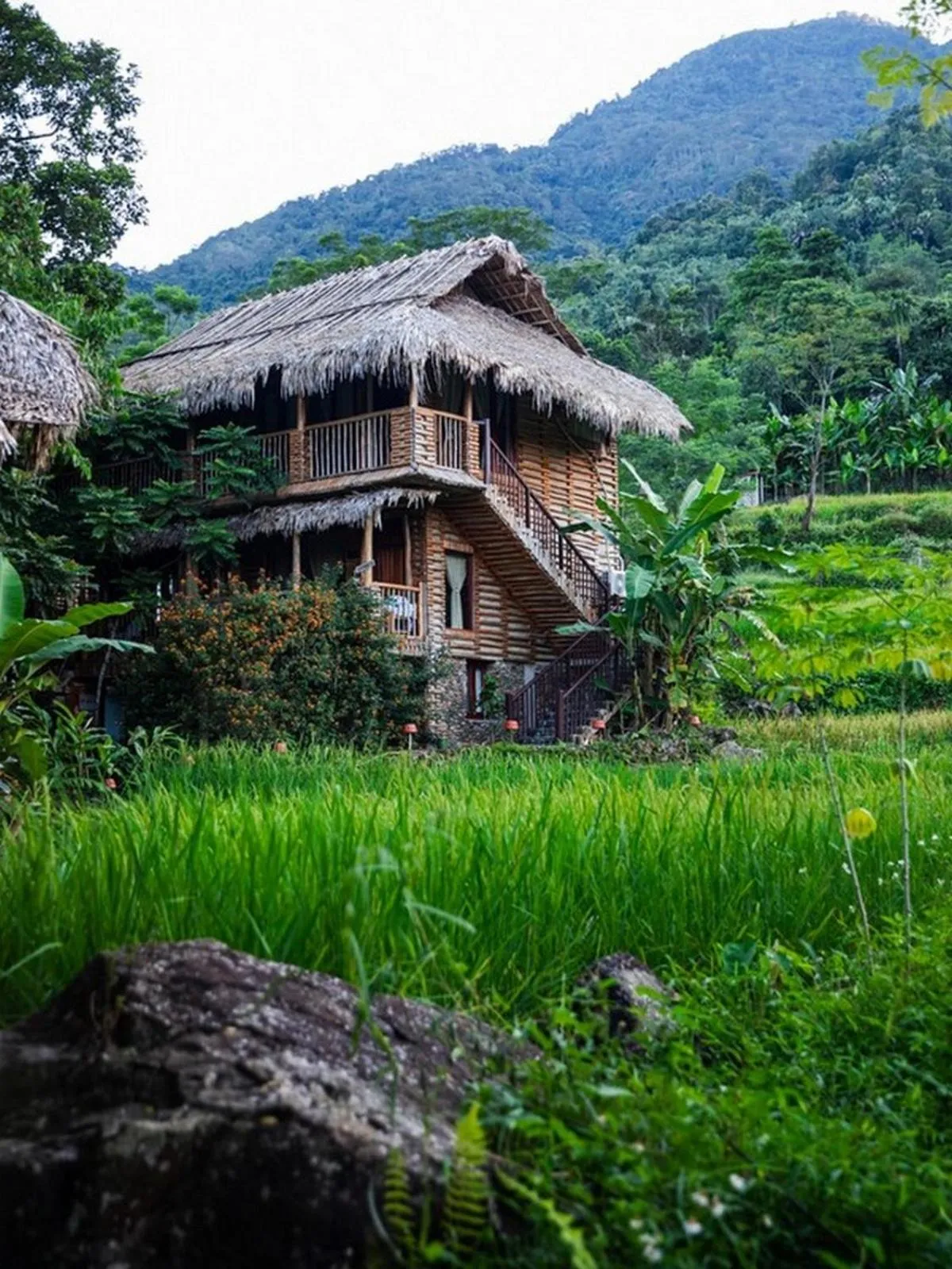 Property building in Pu Luong Jungle Lodge