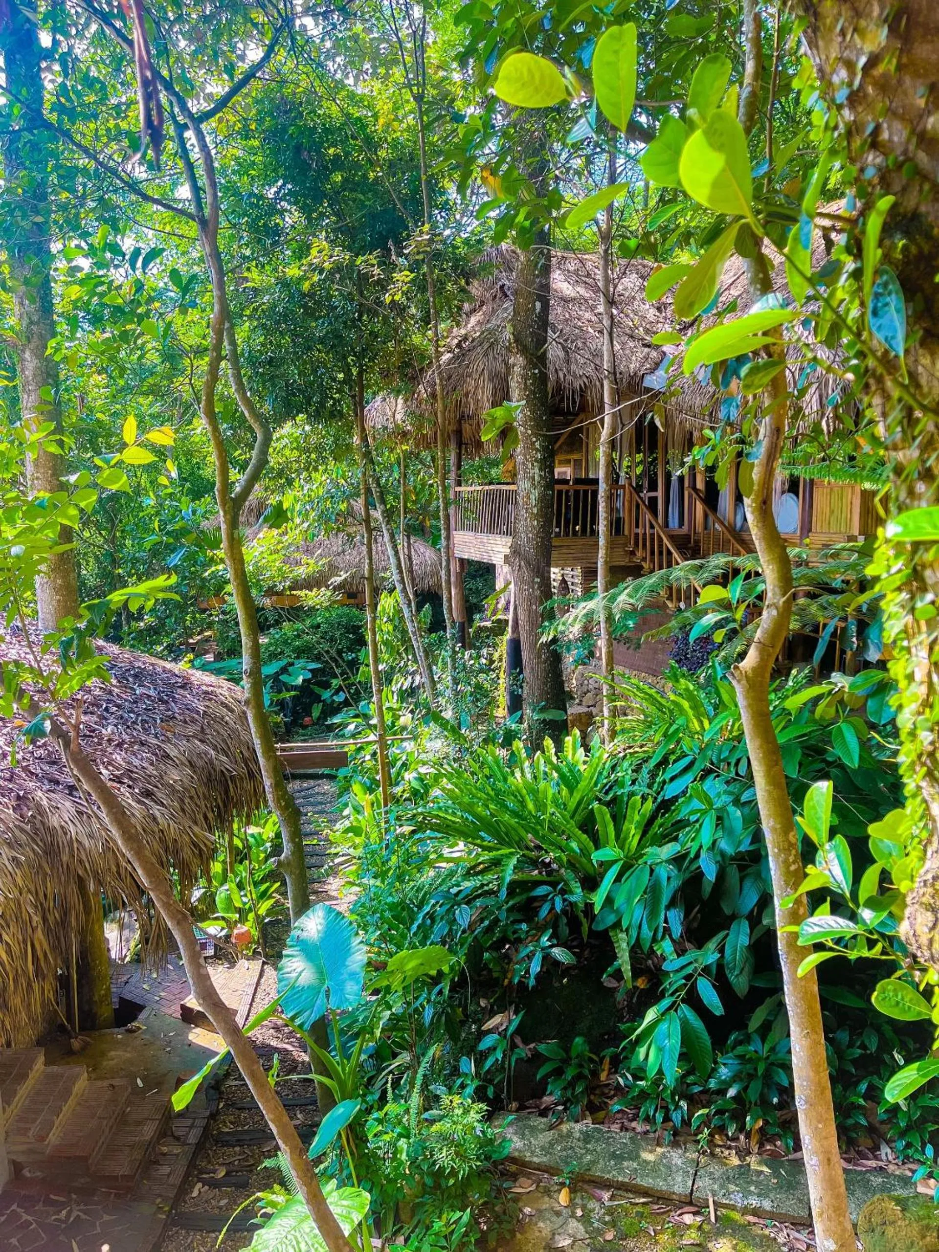 View (from property/room) in Pu Luong Jungle Lodge