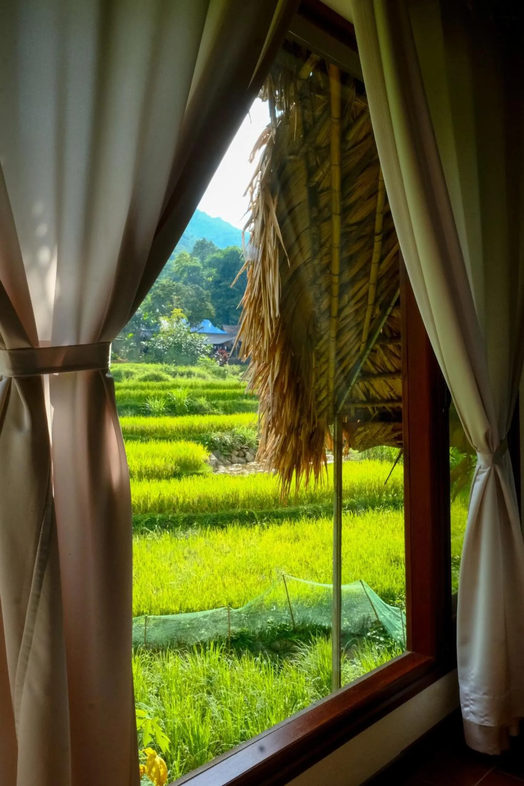 View (from property/room) in Pu Luong Jungle Lodge
