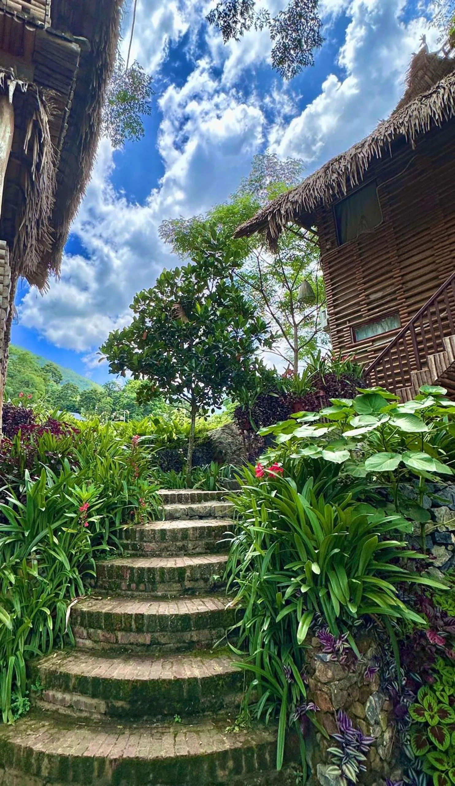Property building in Pu Luong Jungle Lodge