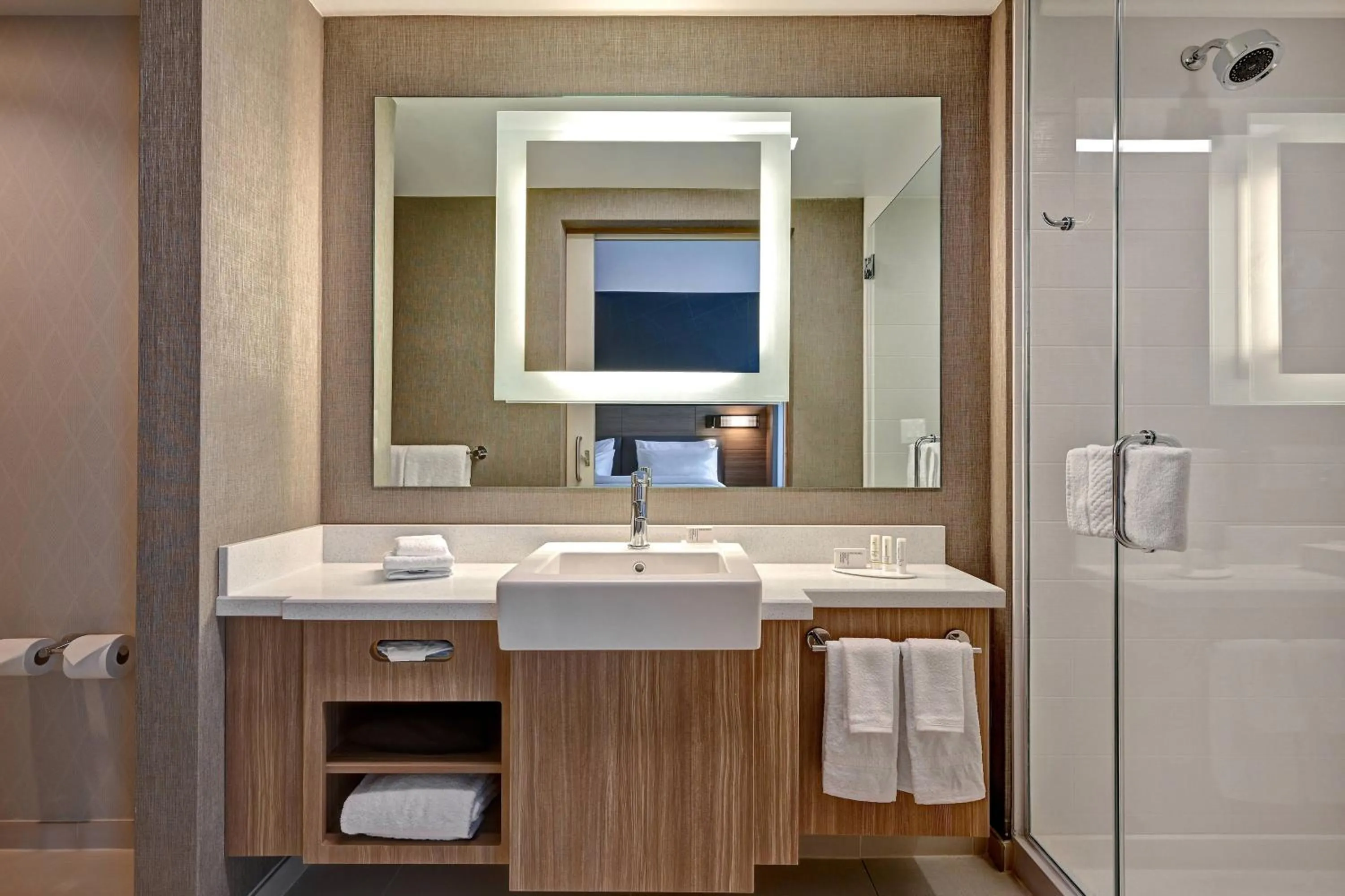 Bathroom in SpringHill Suites by Marriott Albuquerque University Area