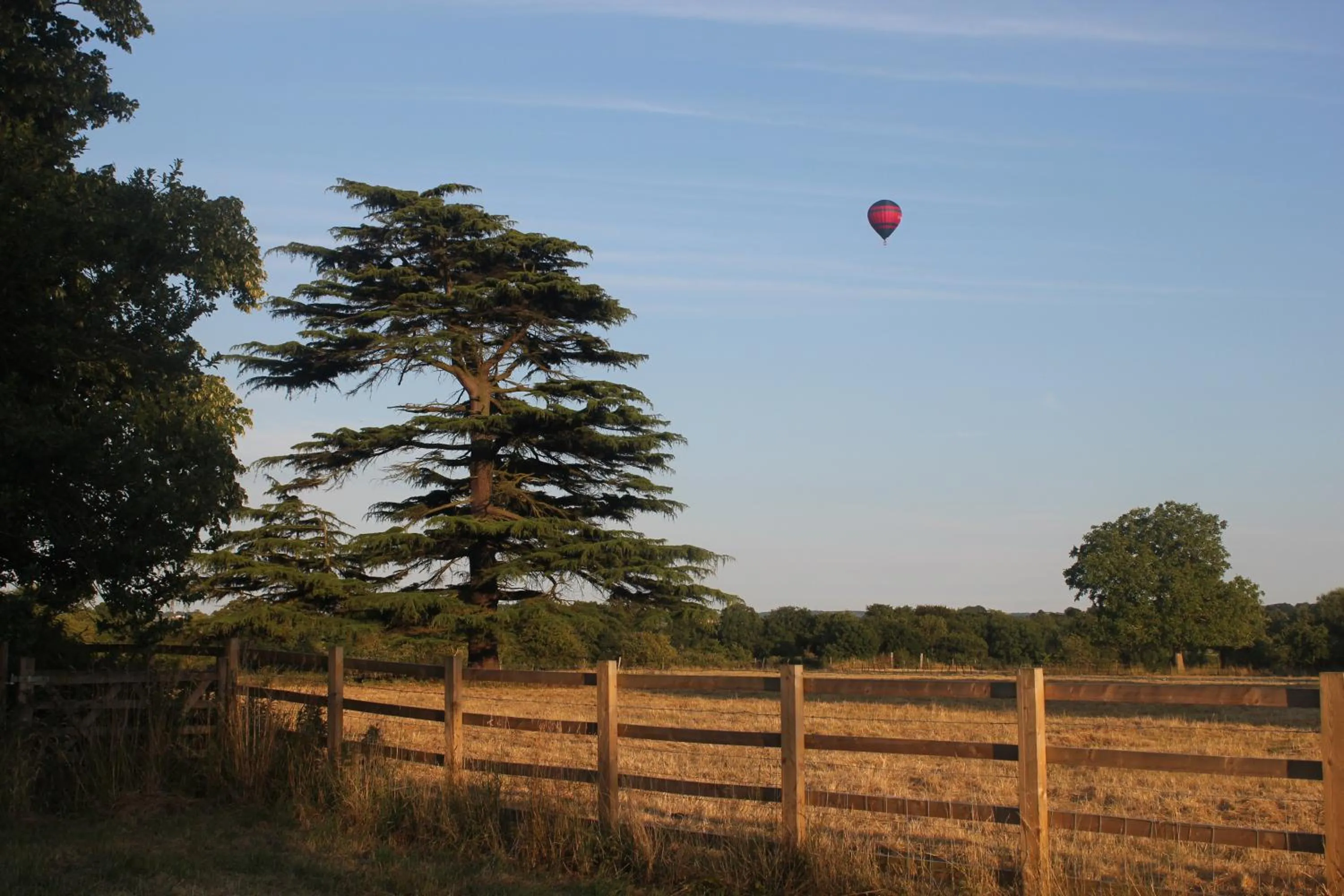 View (from property/room) in The Coach House