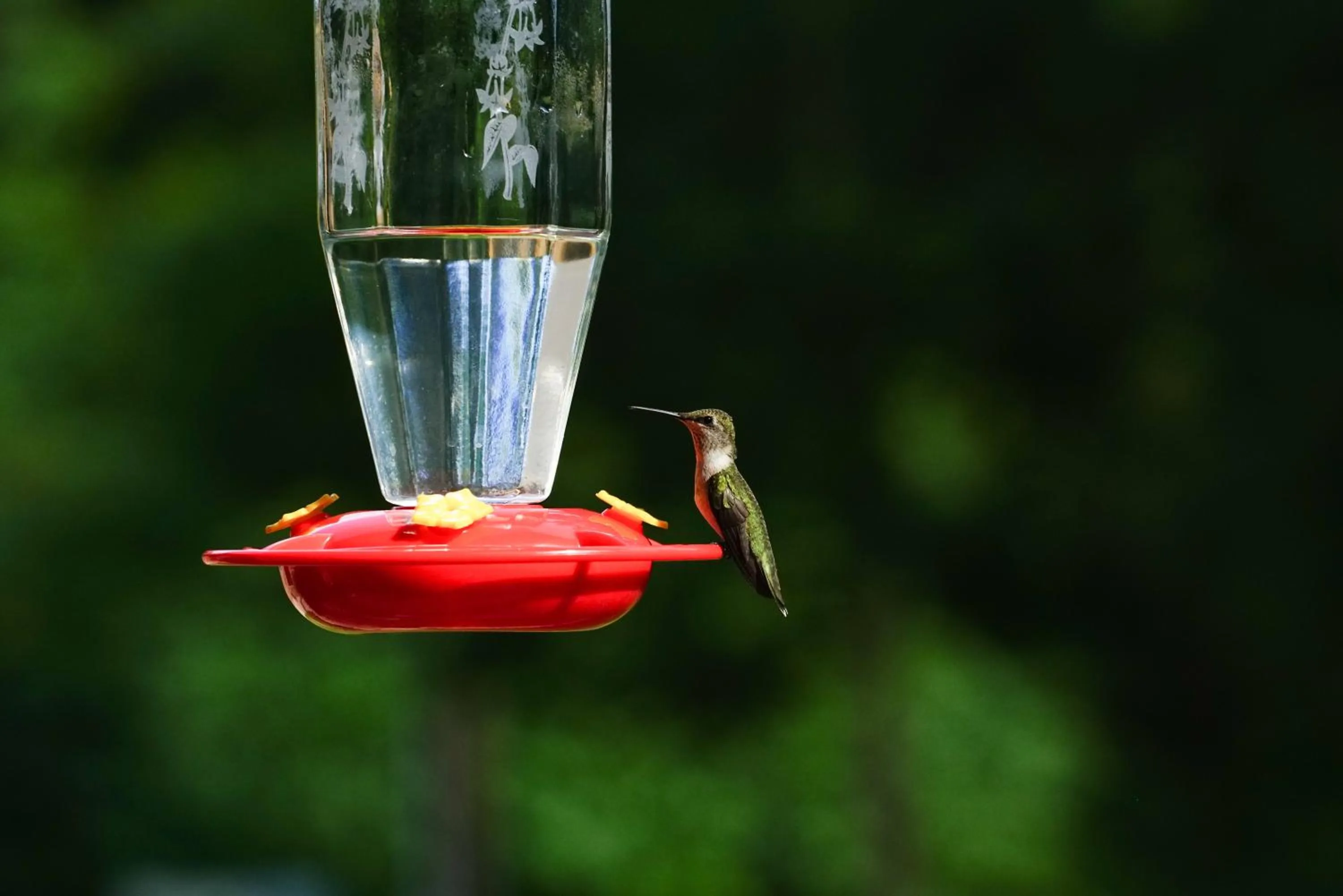 Patio in Hidden Meadows Bed and Breakfast
