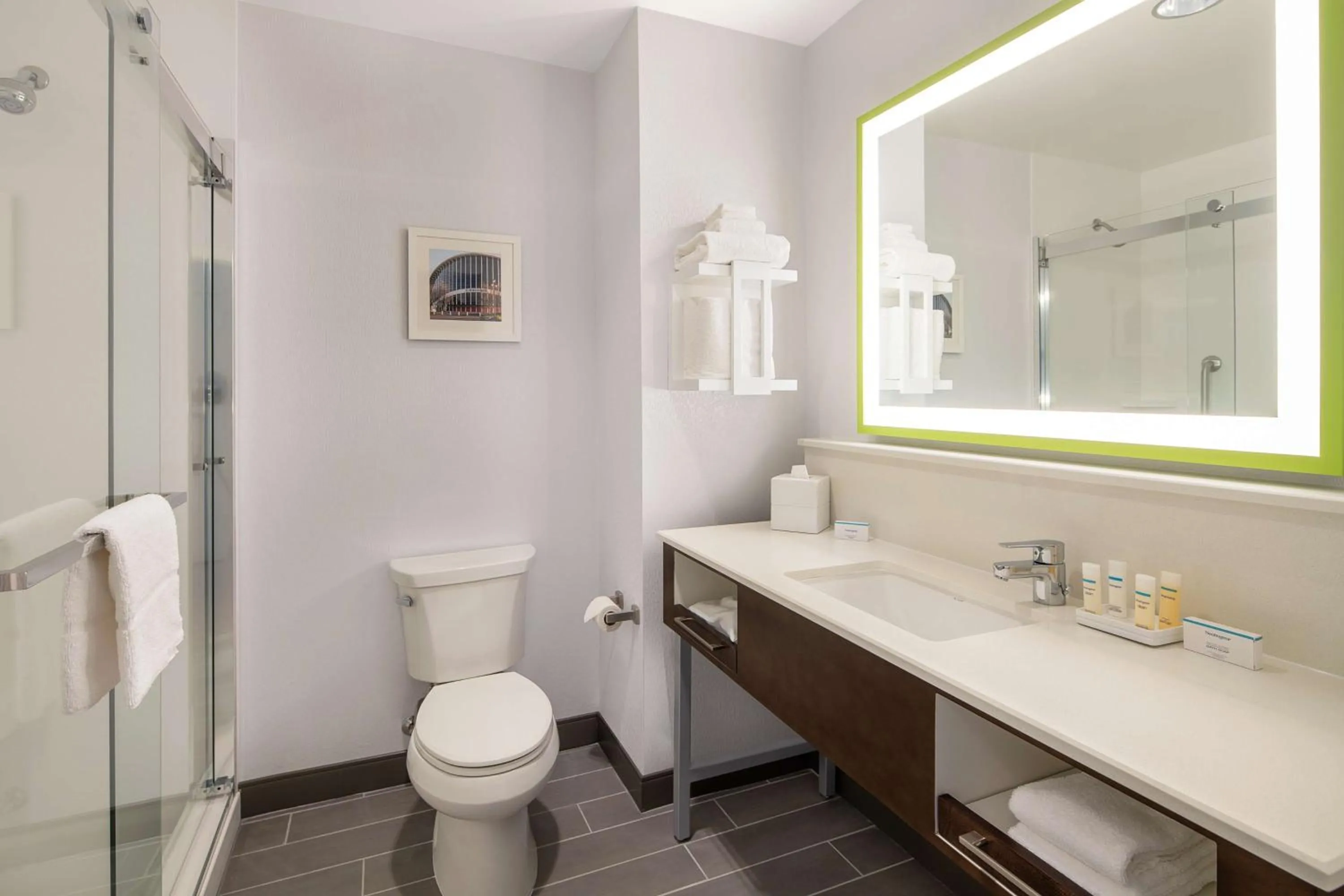 Bathroom in Hampton Inn & Suites Raleigh Midtown, NC