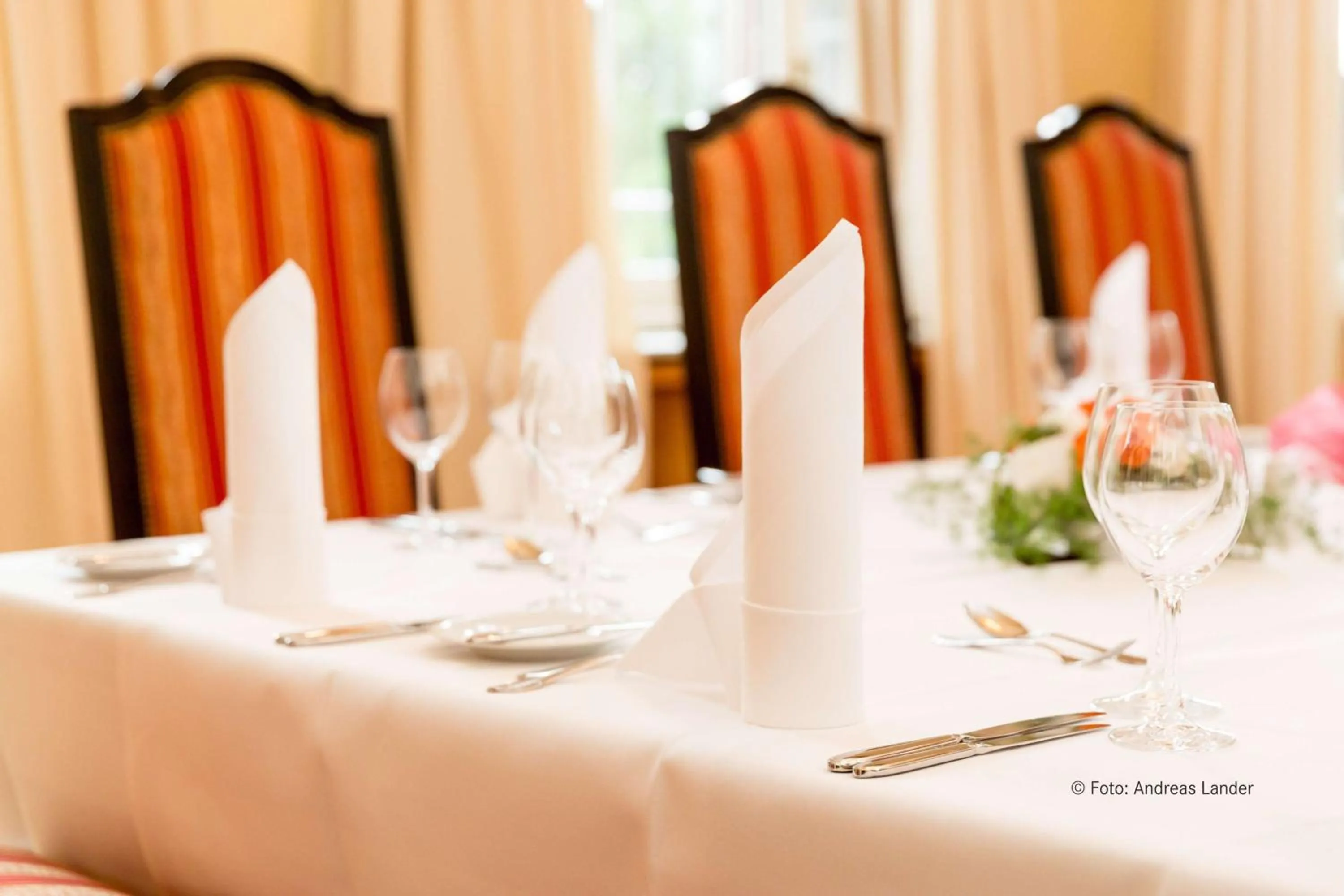 Restaurant/places to eat in Dorint Herrenkrug Parkhotel Magdeburg