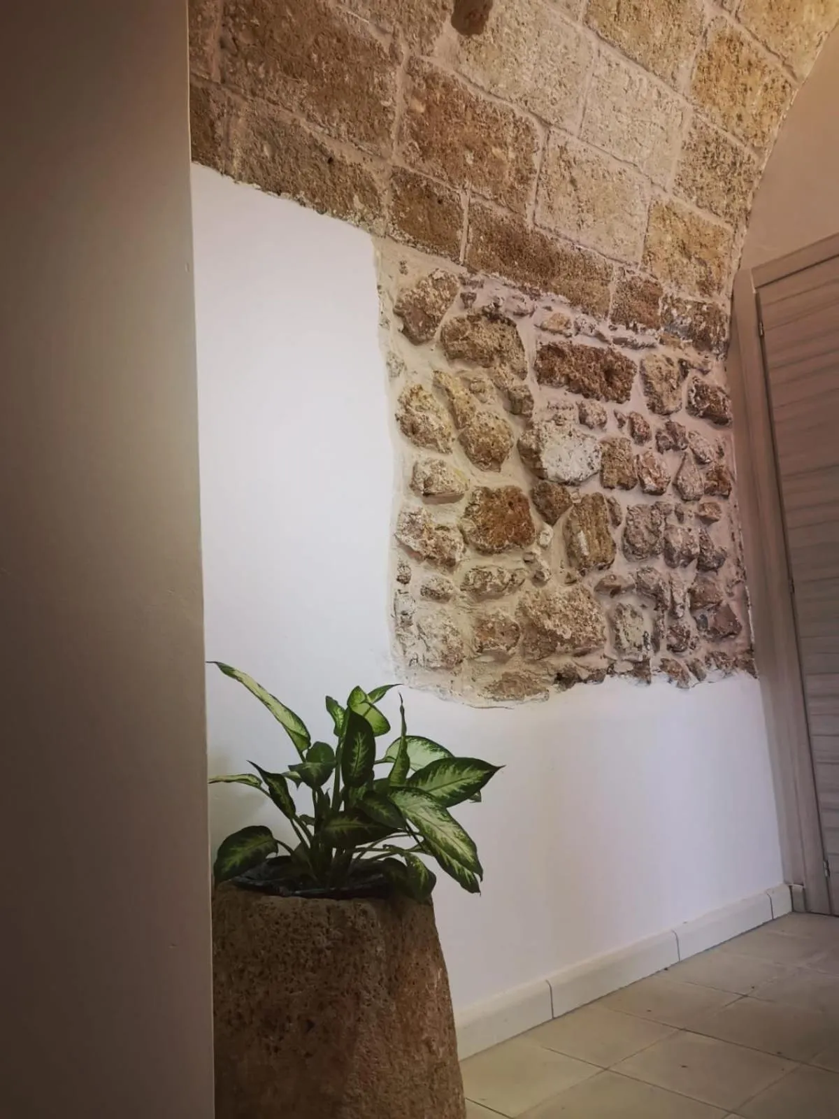 Property building in Anna 1924