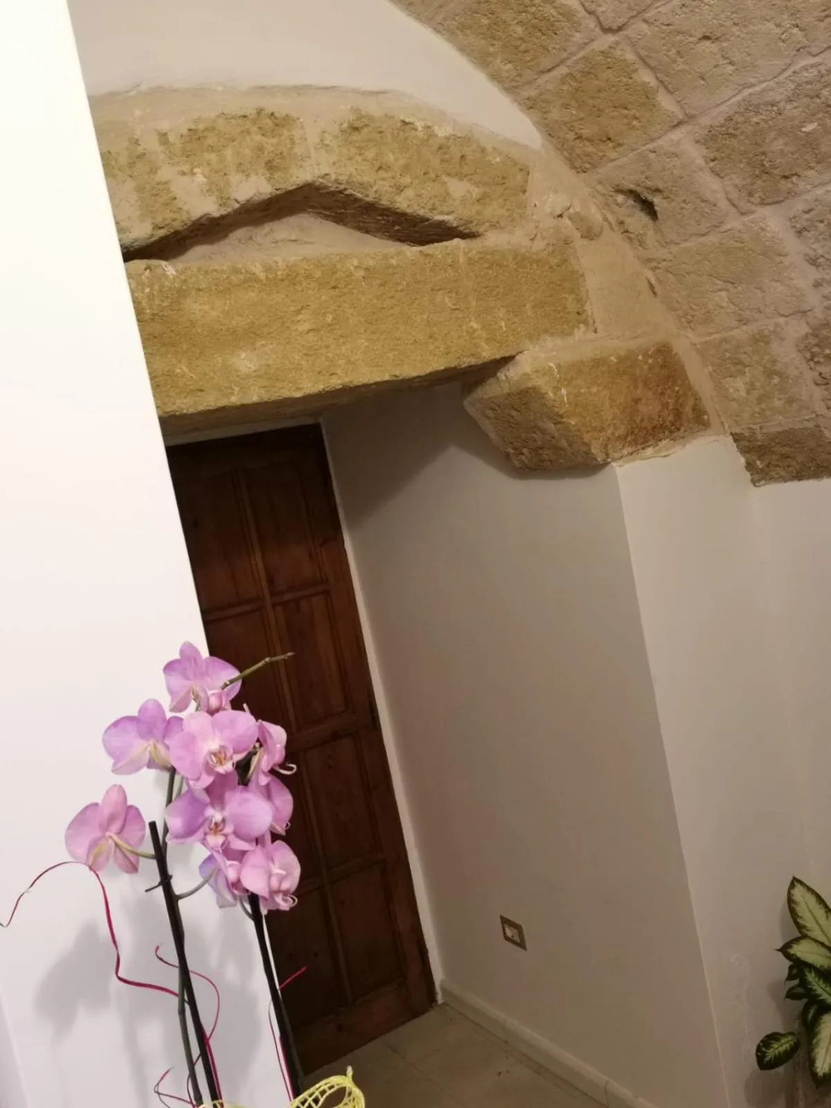 Property building in Anna 1924