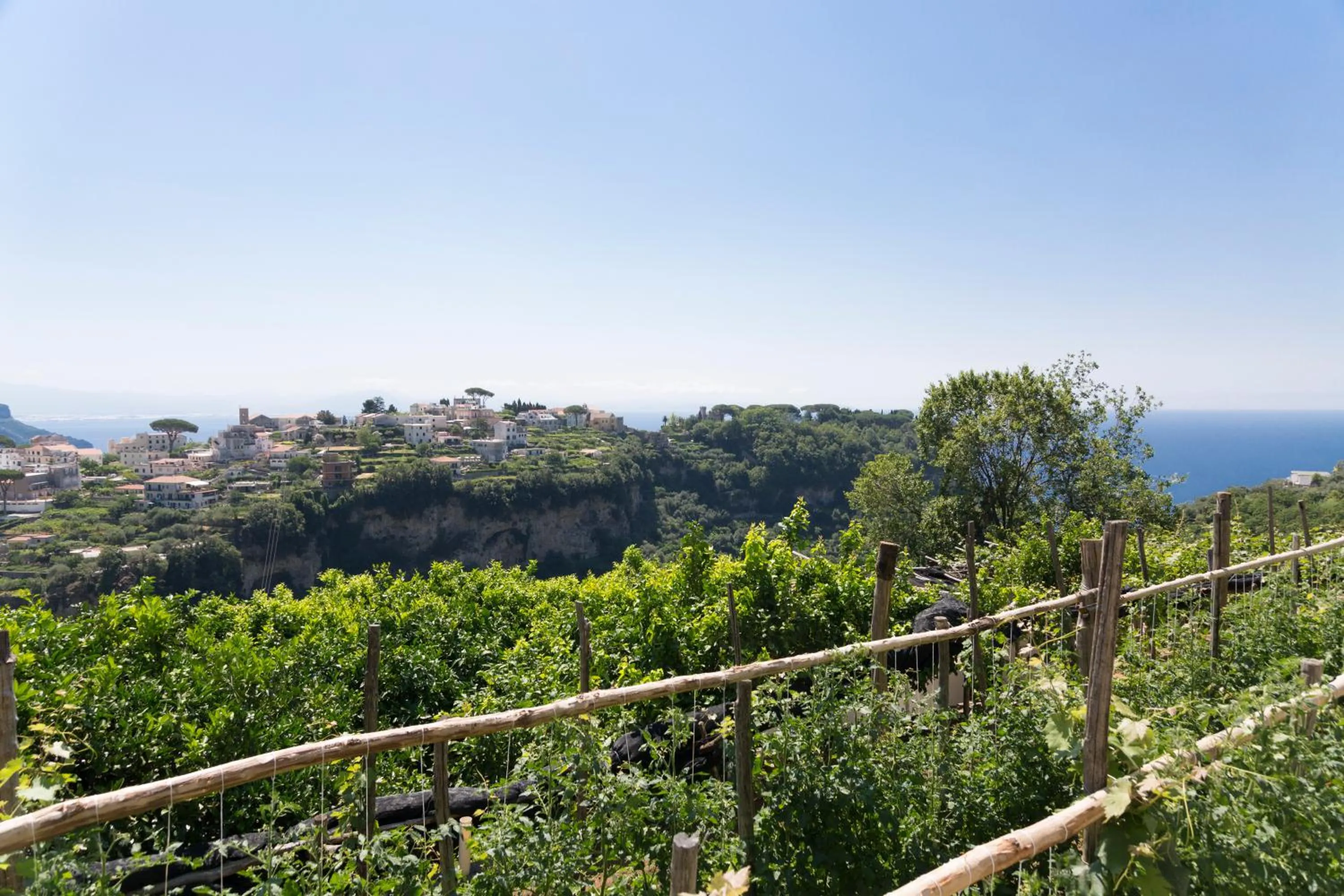 Sea view in HOTEL ZI'NTONIO