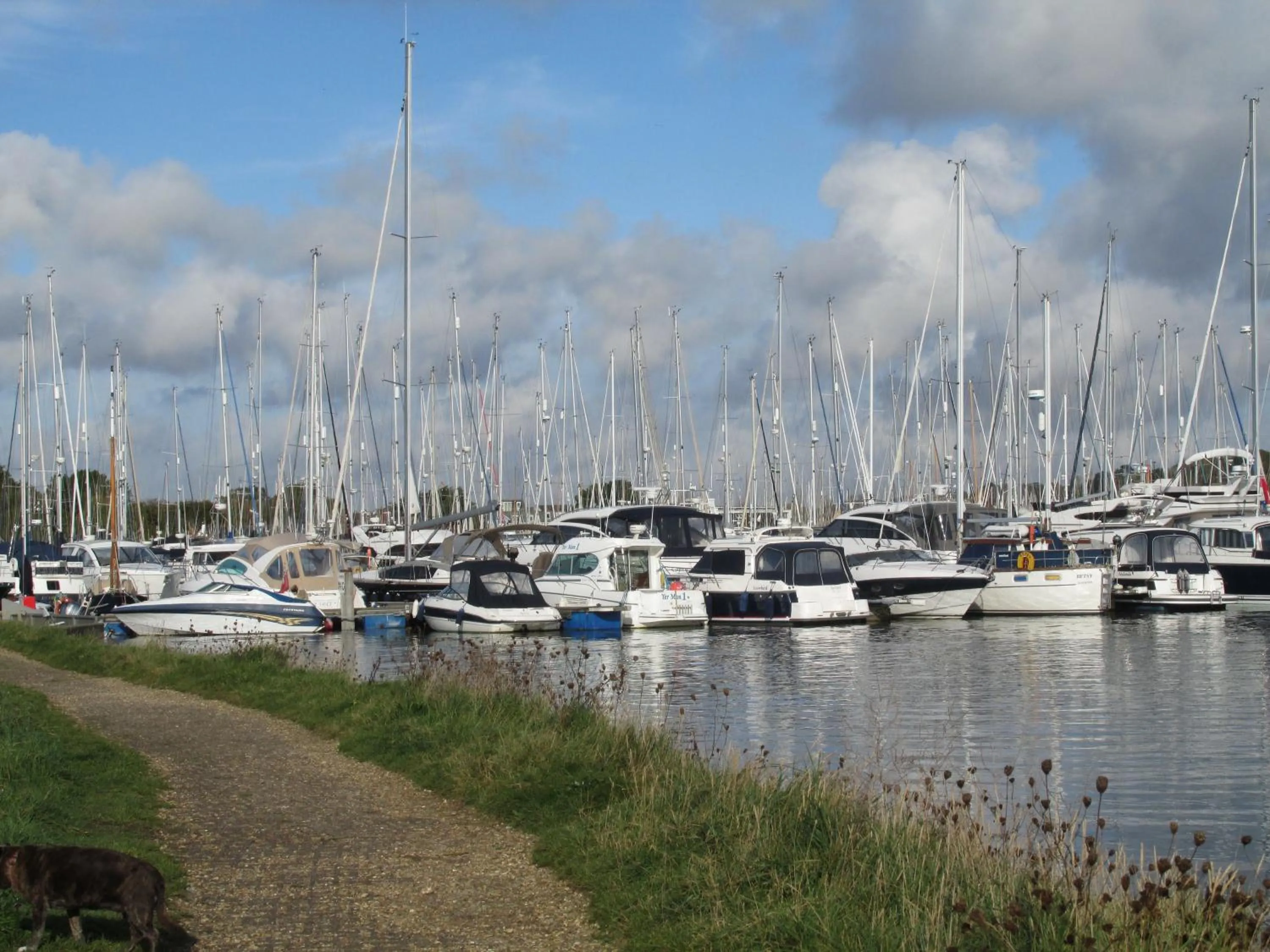 Natural landscape in Albertine