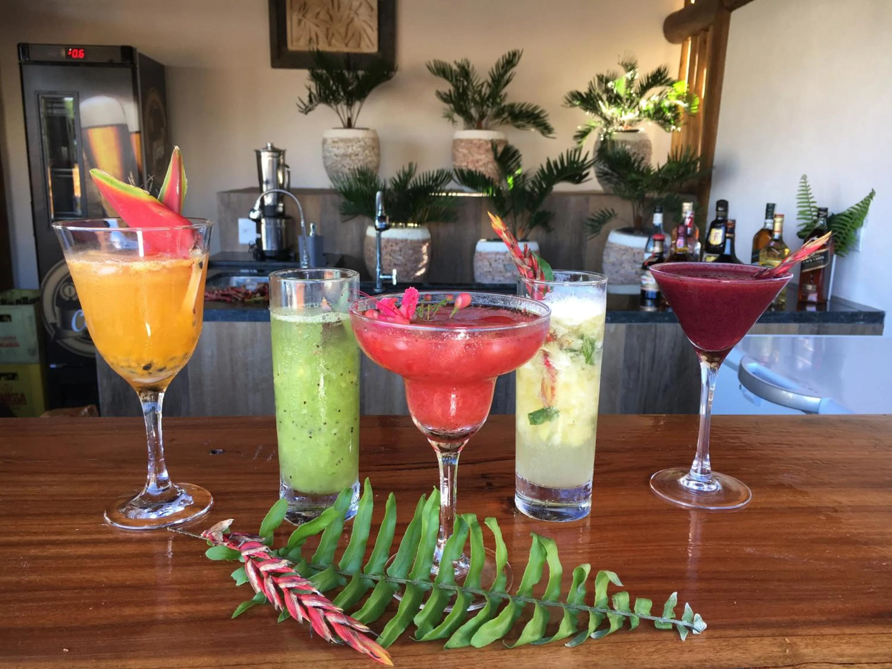 Lounge or bar in Carapitangui Pousada