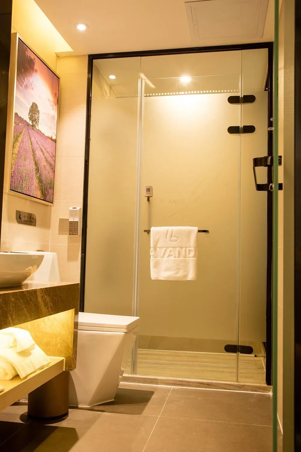 Lavande Hotels·Shenzhen North Railway Station Bantian Metro Station