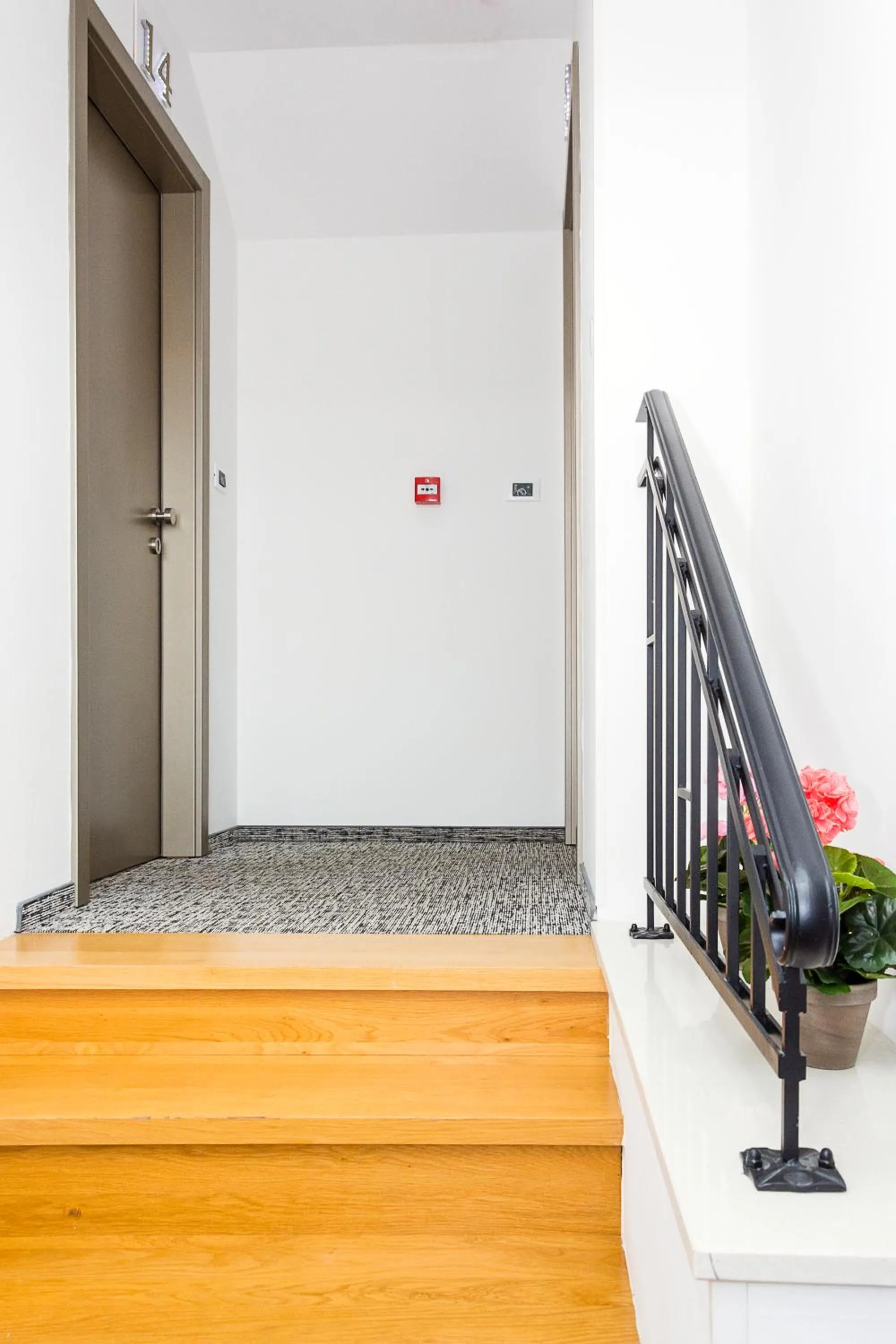 Area and facilities in Hotel Marul