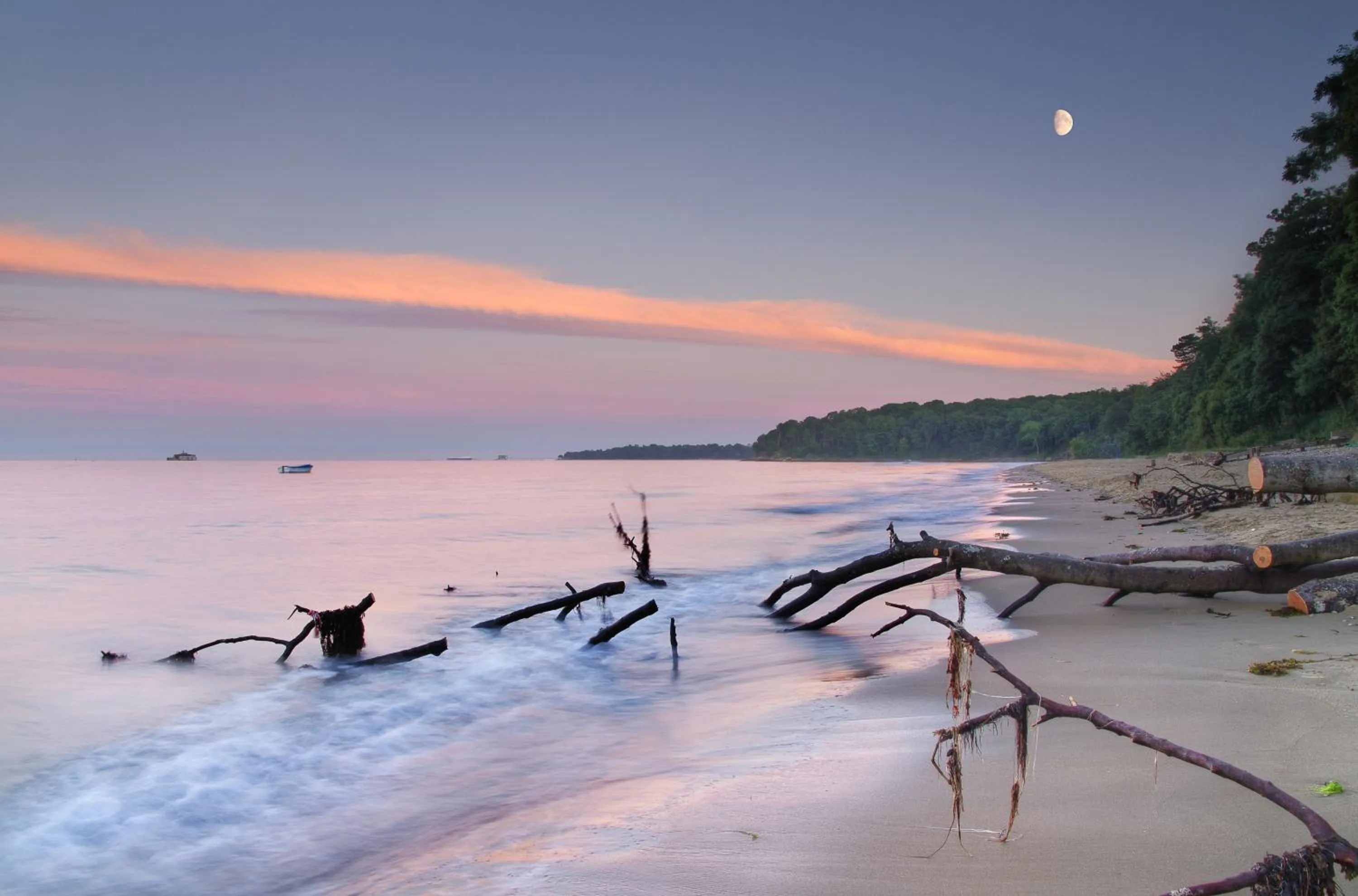 Natural landscape in St Helens Coastal Resort