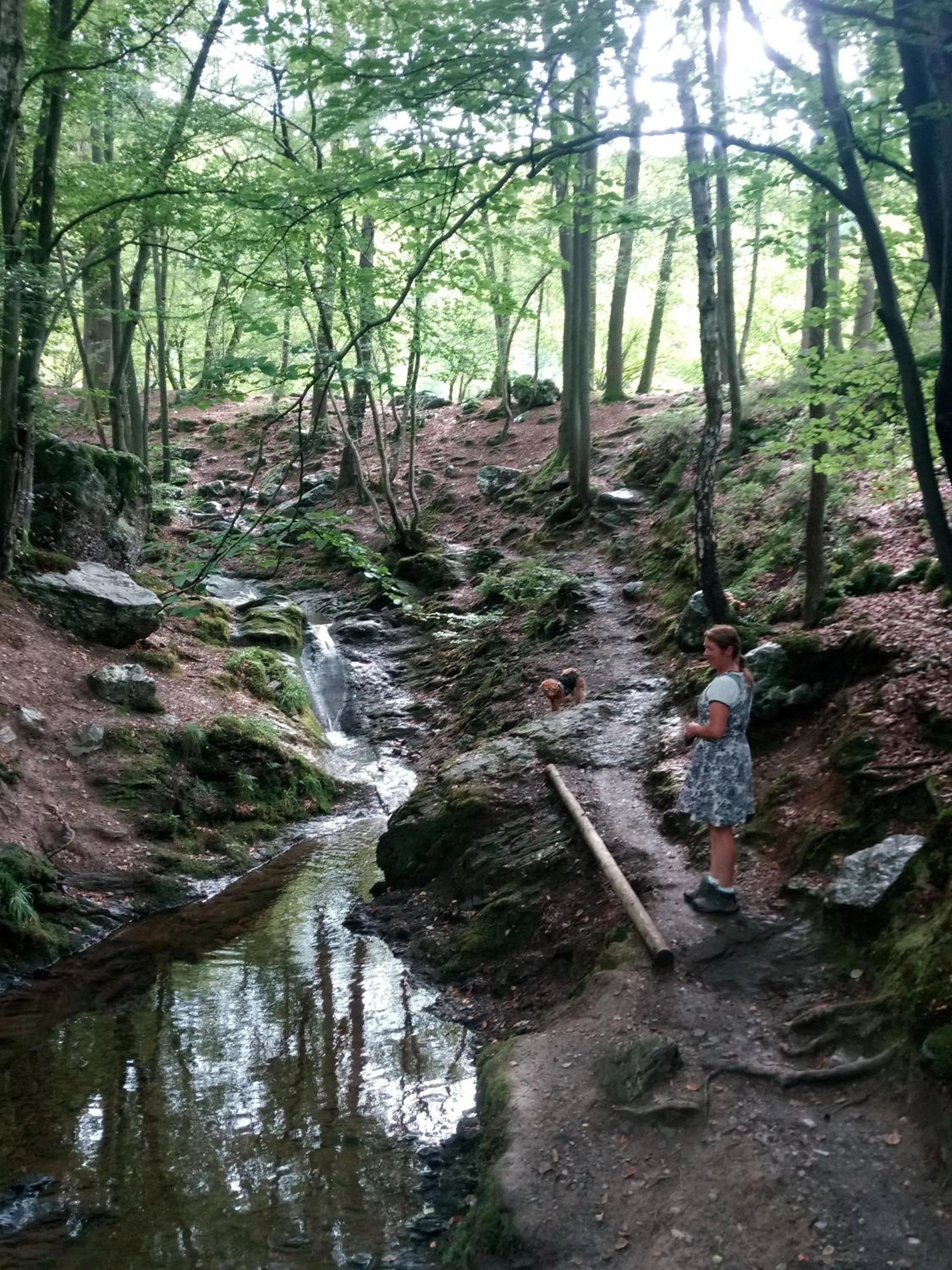 Hiking in La Vie en Rose hotel