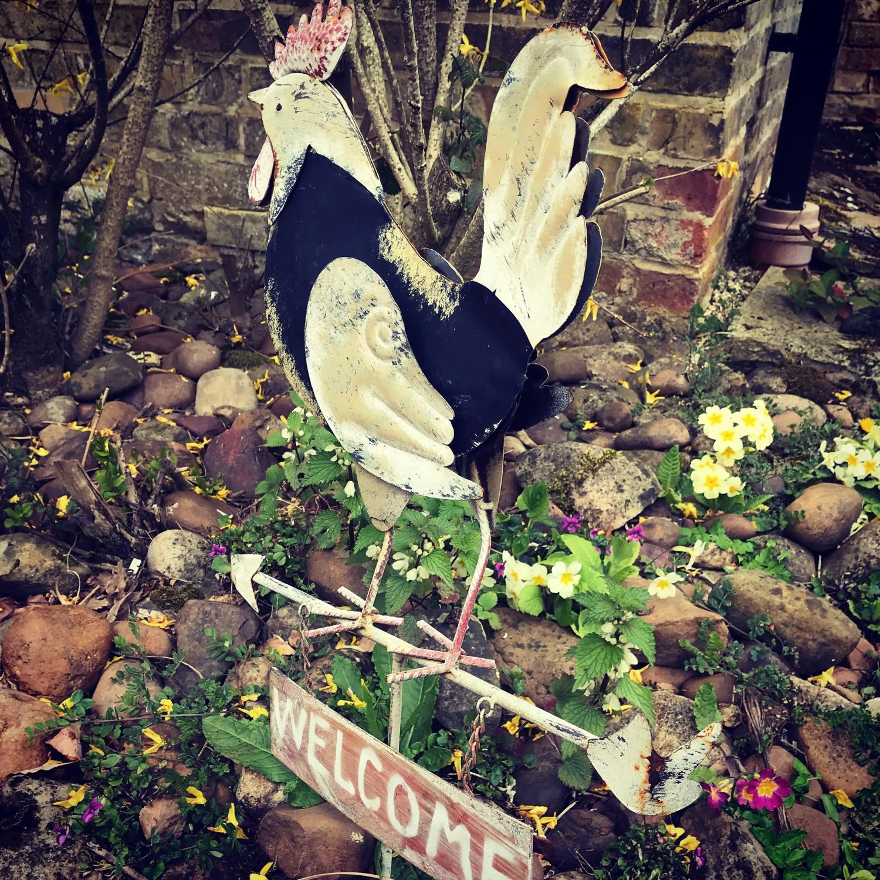 Home Farm Bed & Breakfast