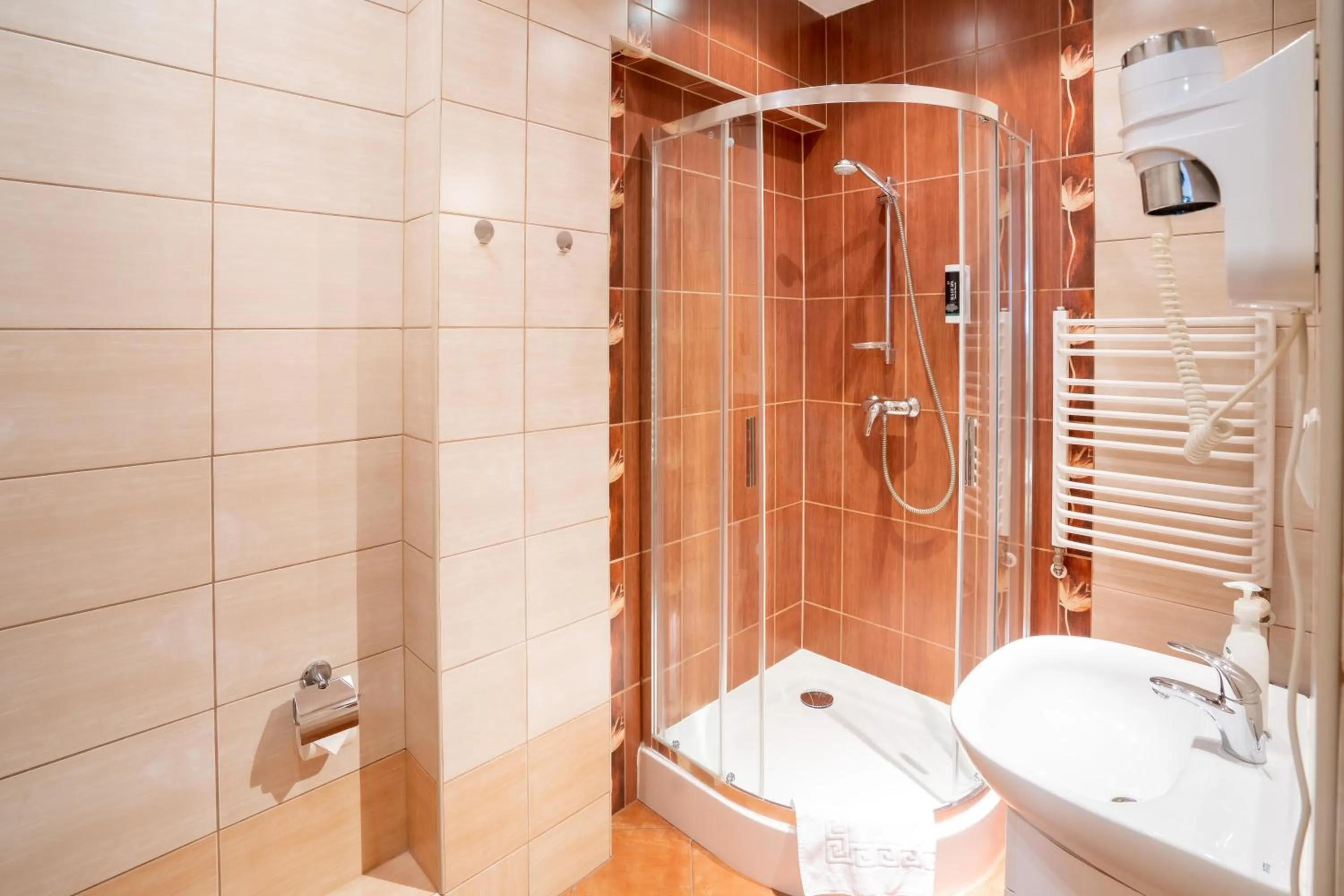 Shower in Willa Monte Rosa