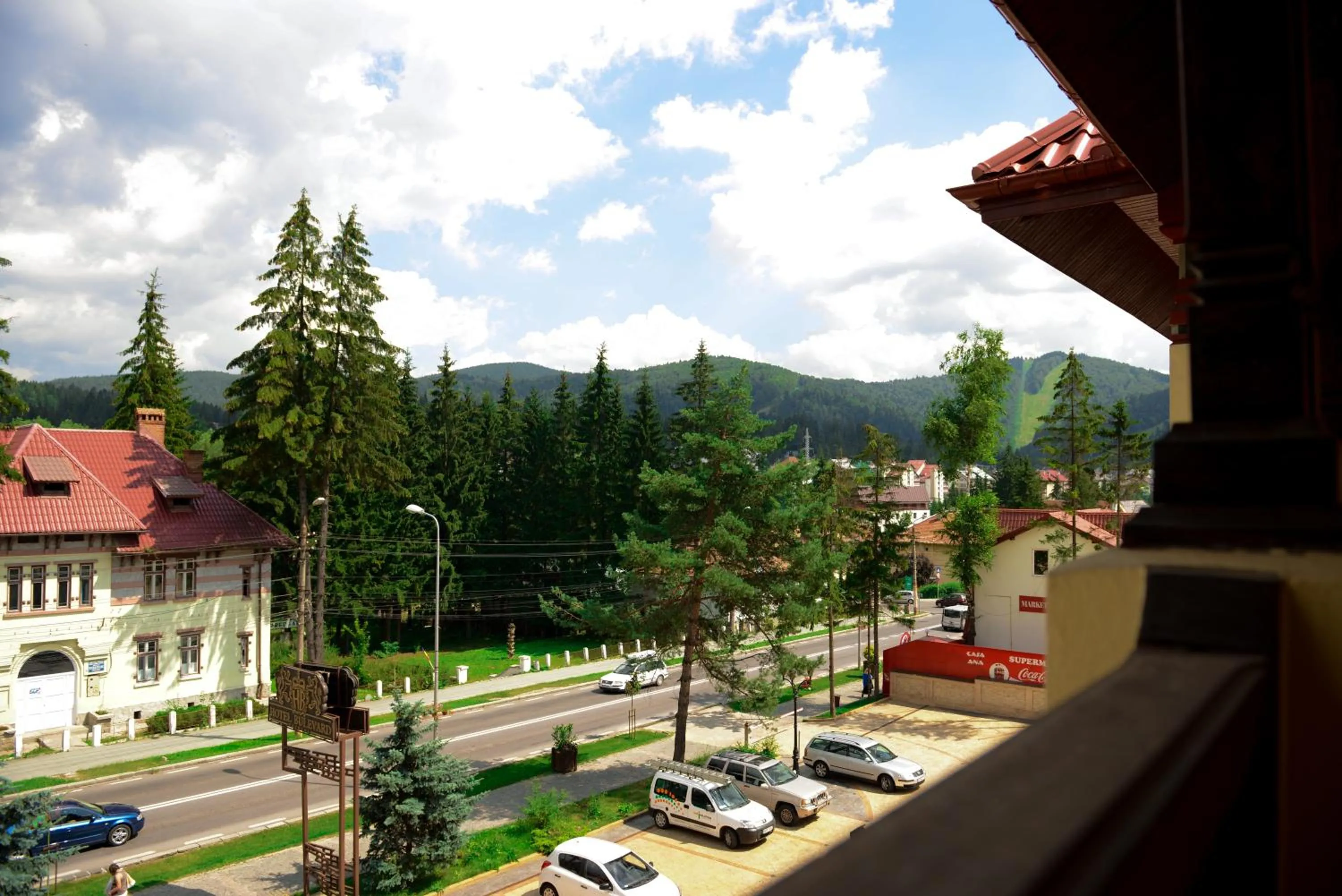 View (from property/room) in Hotel Bulevard Predeal