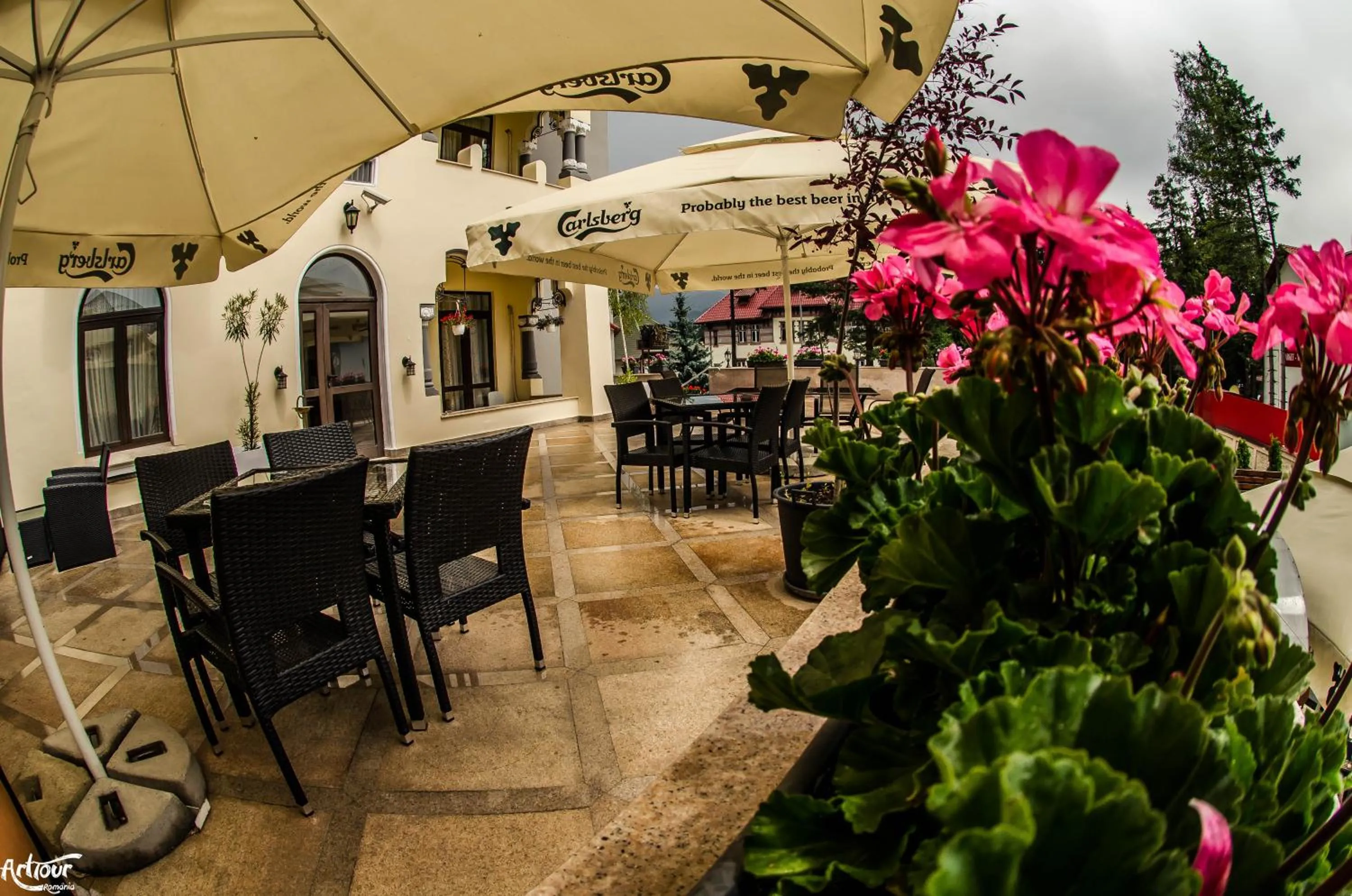 Garden in Hotel Bulevard Predeal