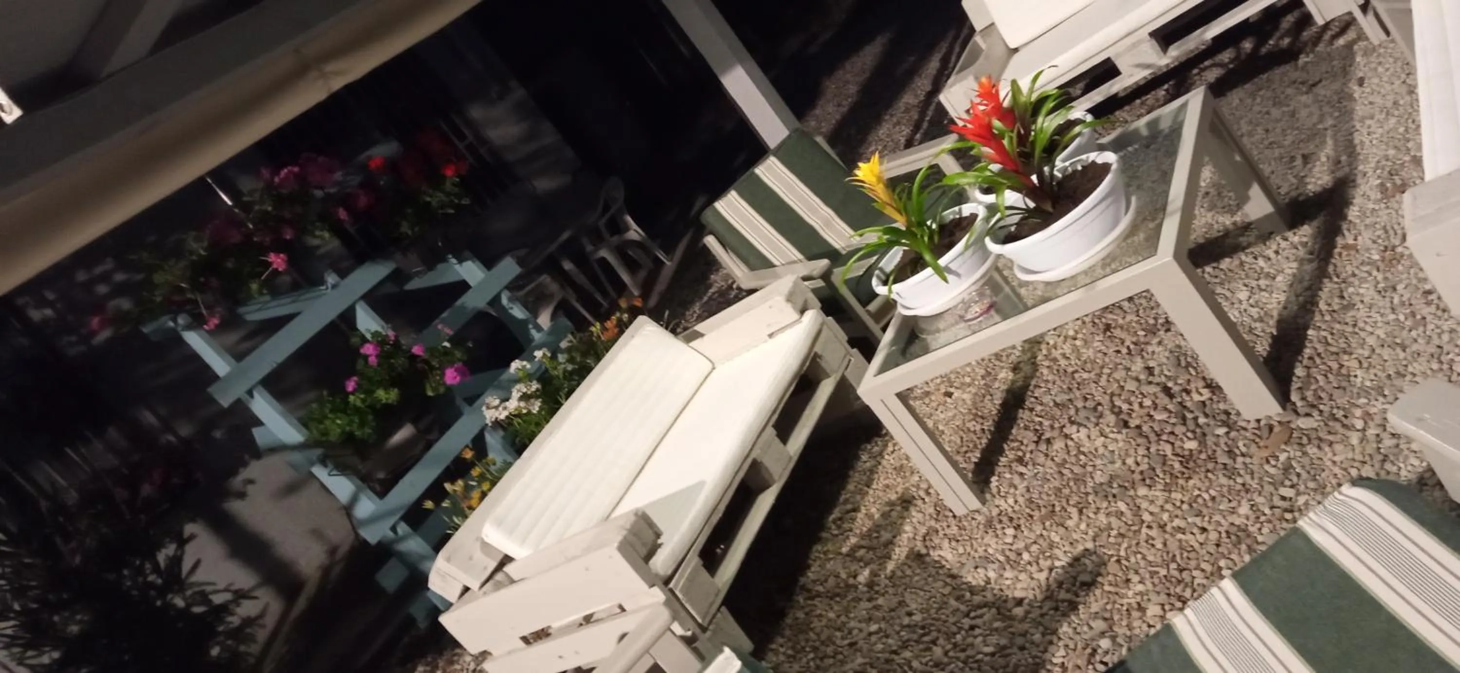 Garden in Ad Astra Rooms