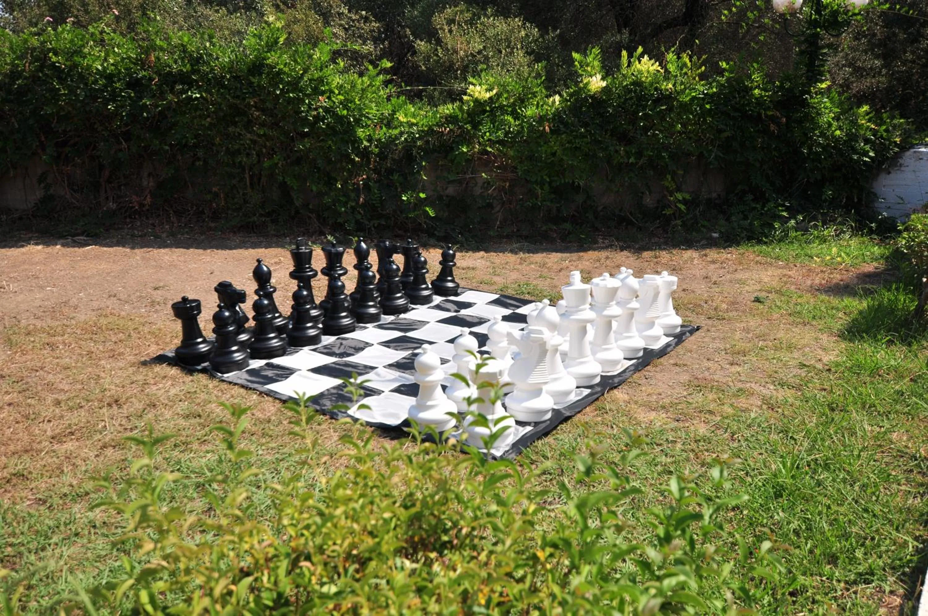 Activities in Michelangelo Resort