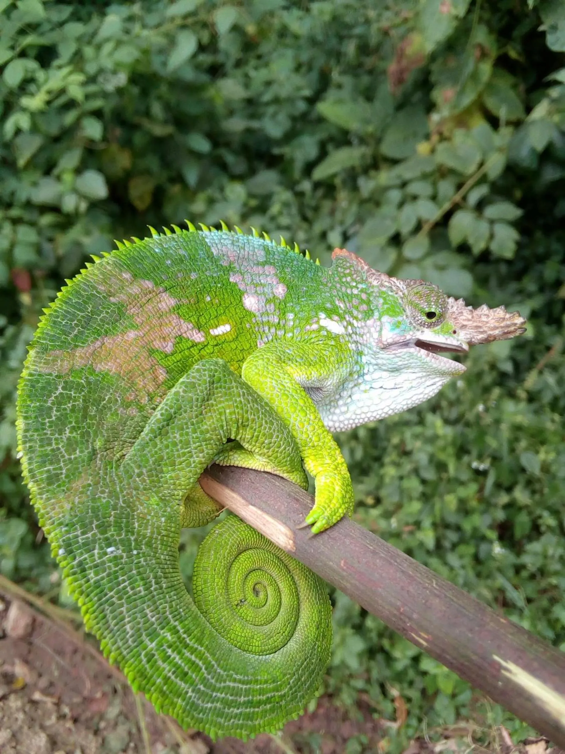 Activities in LUSHOTO EXECUTIVE LODGE