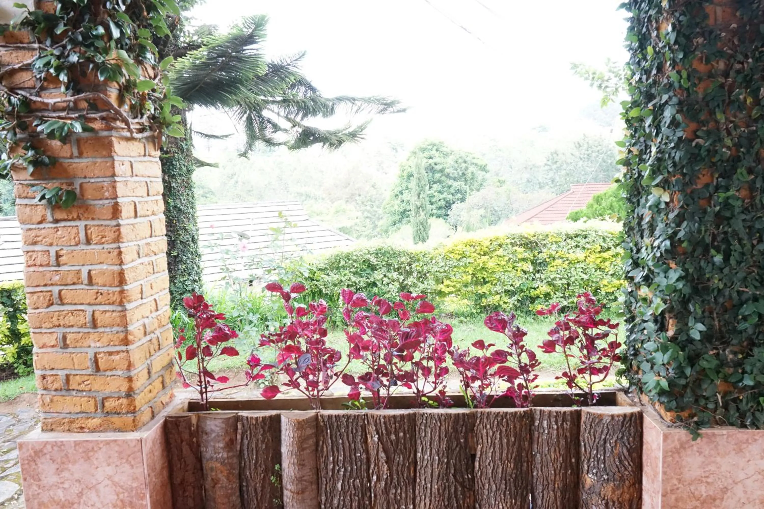 Garden in LUSHOTO EXECUTIVE LODGE