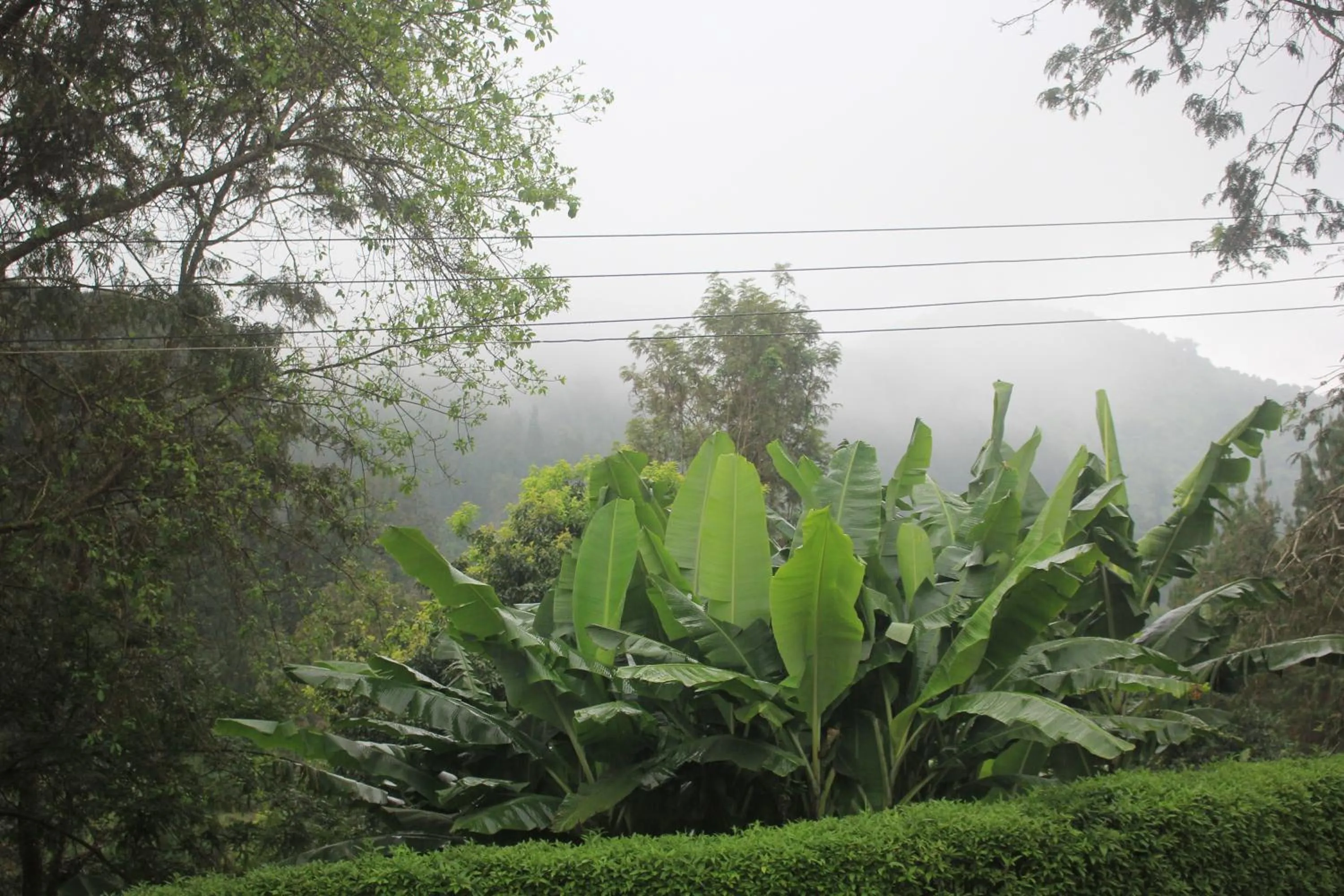 Neighbourhood in LUSHOTO EXECUTIVE LODGE